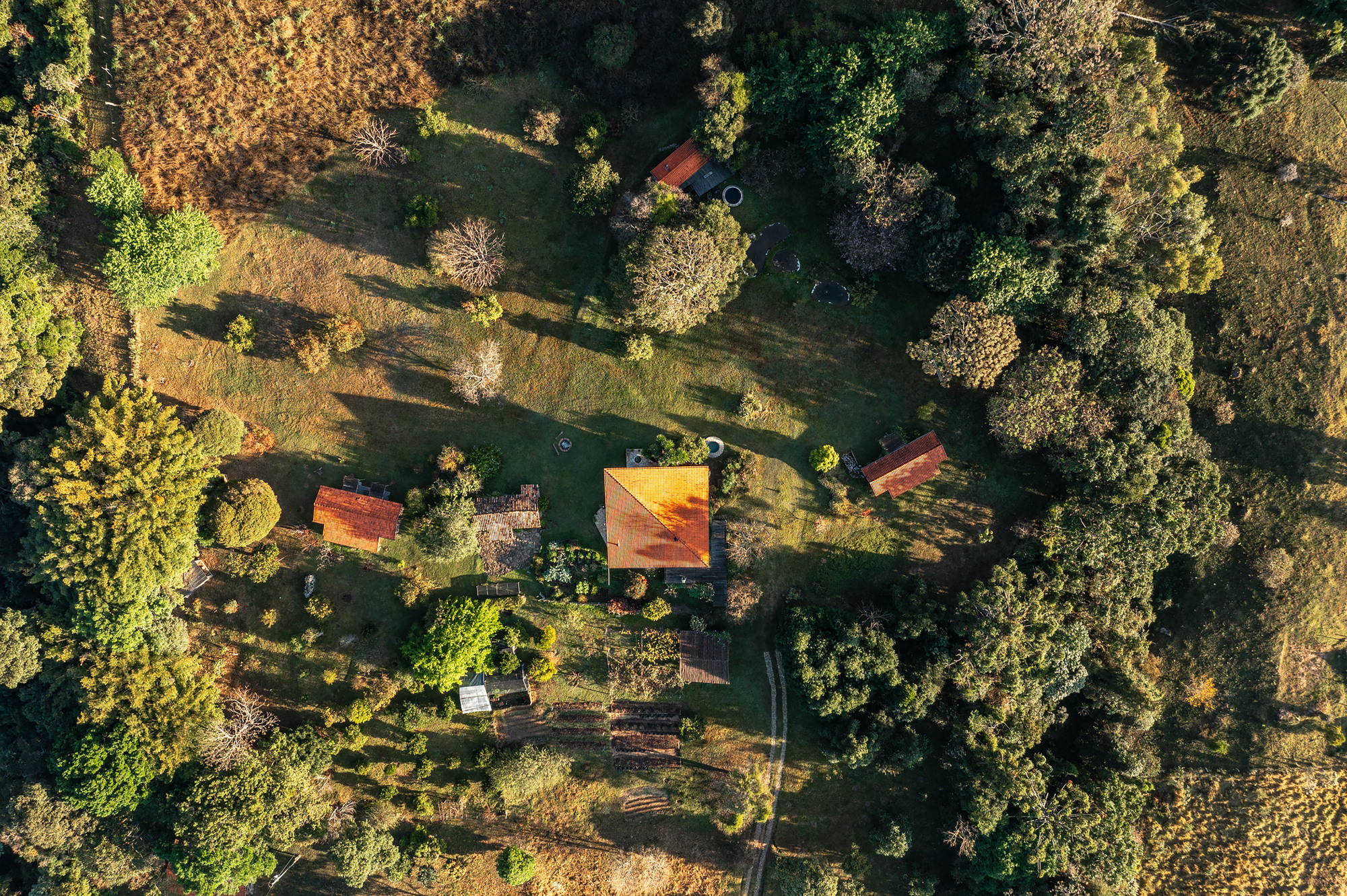 Aerial view of scattered terracotta-roofed cabins in a clearing, ringed by trees in low golden light