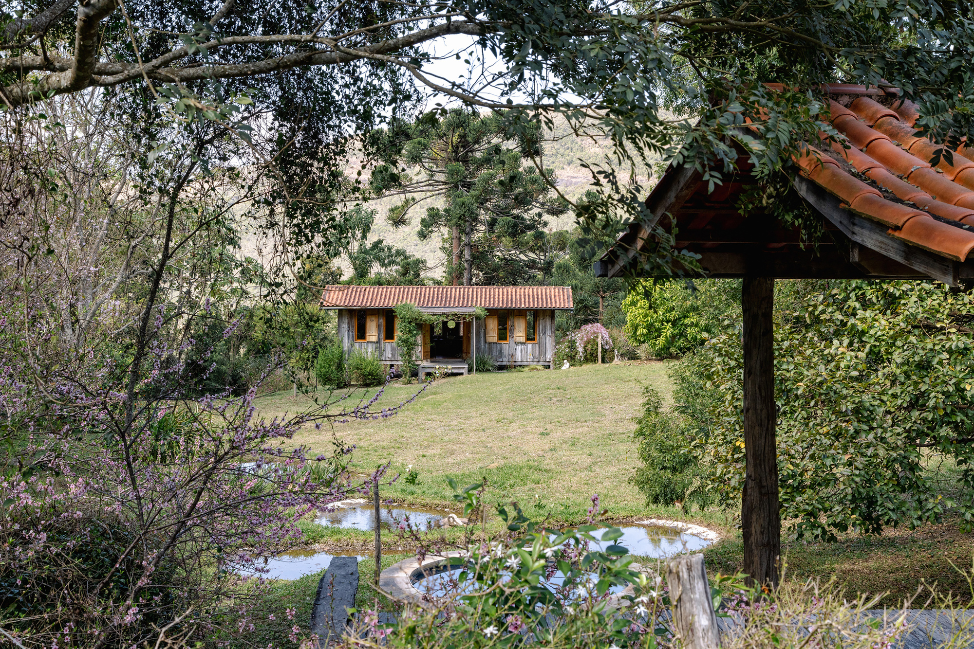 Small timber cabin with clay tile roof seen across a lawn and ponds, framed by blossoming branches