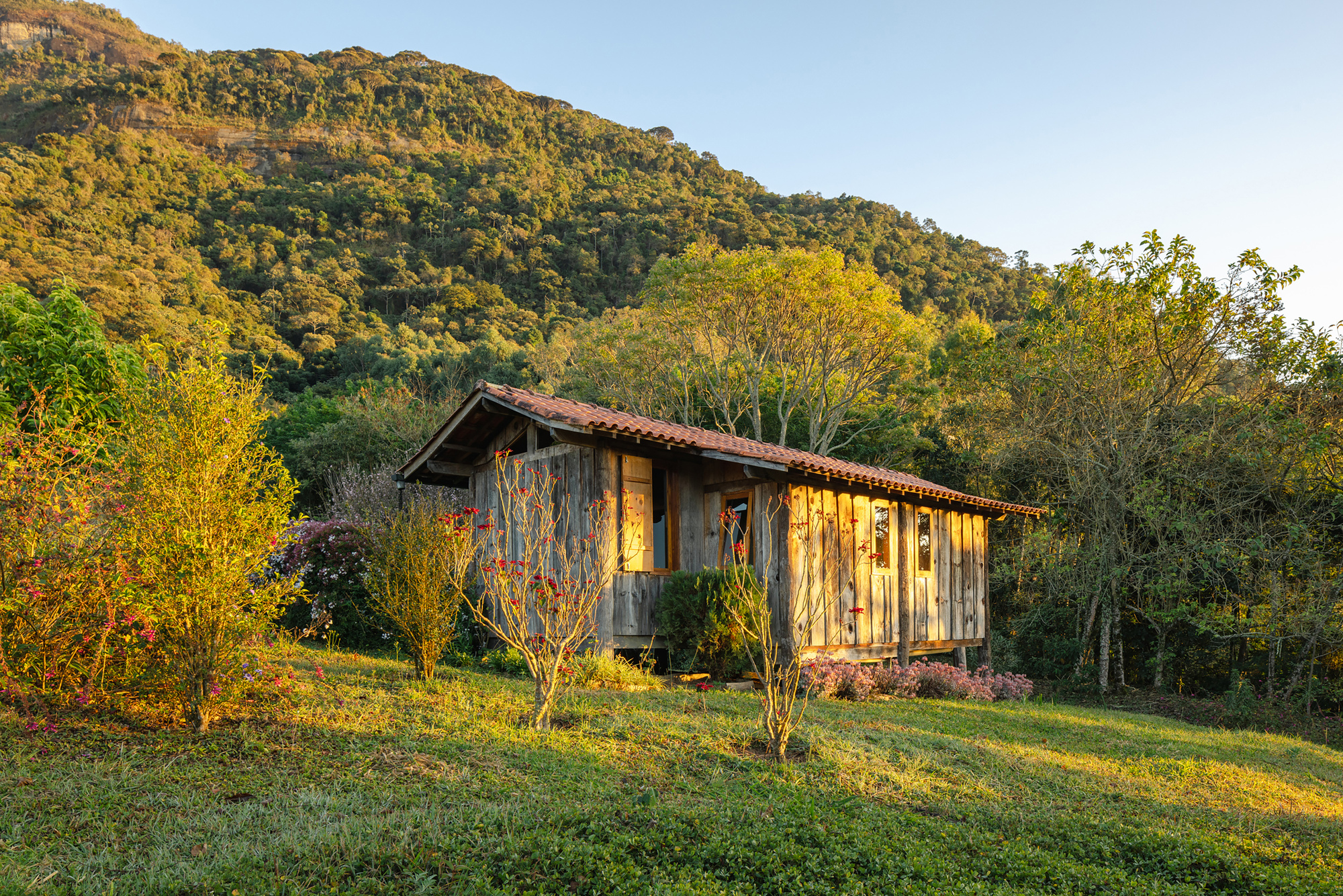 Weathered plank cabin with a low tiled roof on a grassy slope, lit by warm late afternoon sun