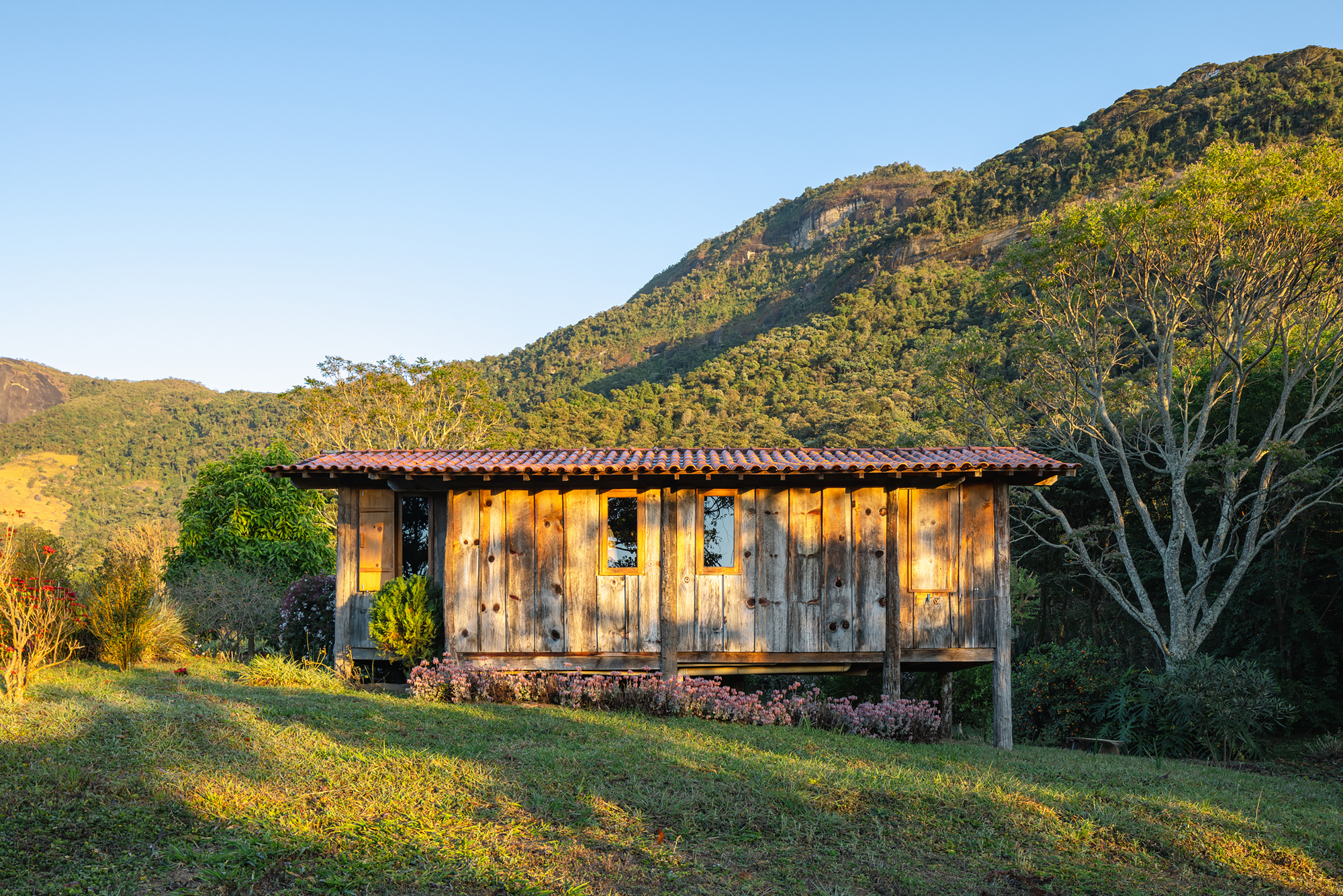 Side elevation of a plank-clad cabin raised on posts, with small shuttered windows and a pink flower bed in low golden light
