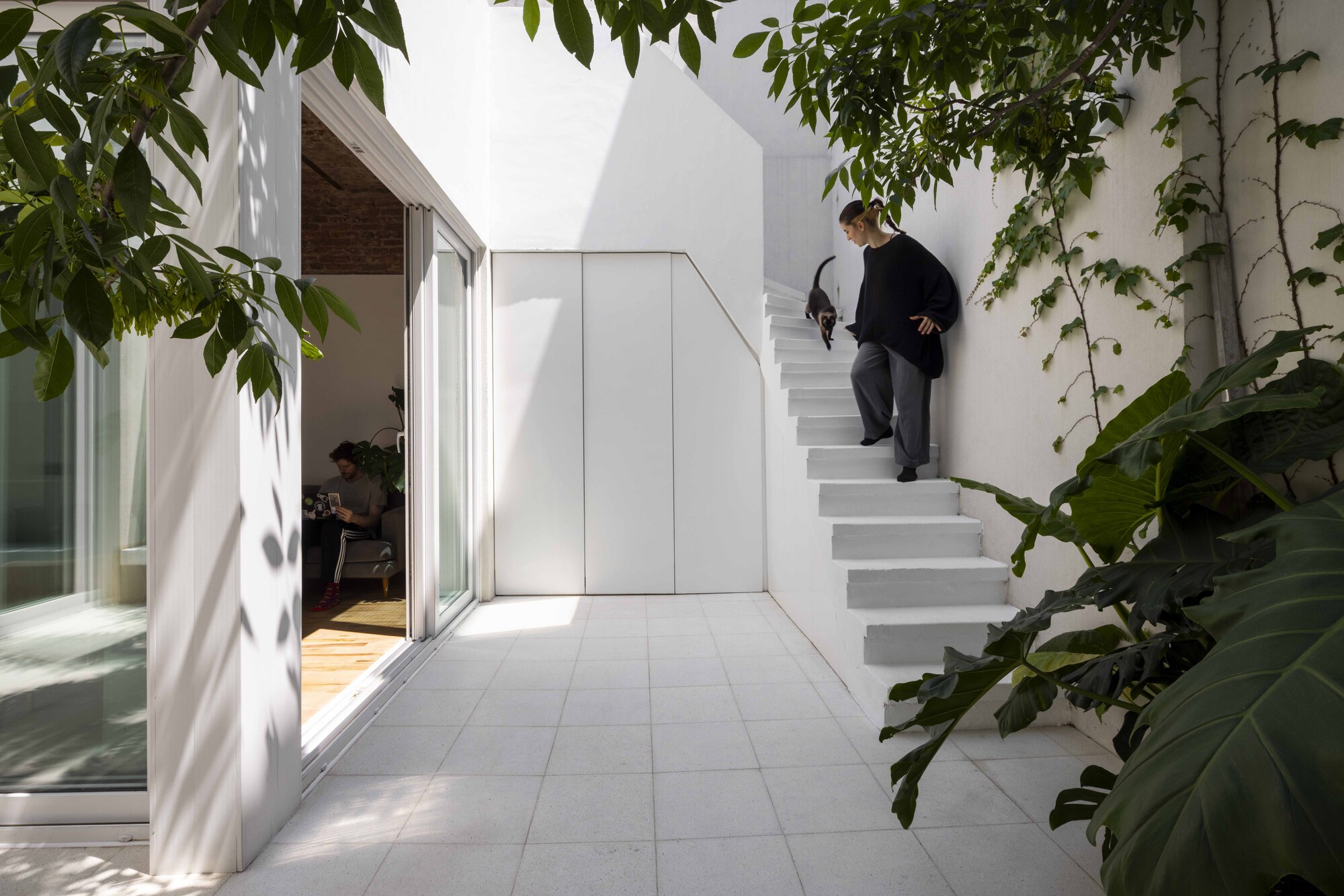 White concrete stair rising along a courtyard wall, with a woman and cat descending under leafy tree shadows