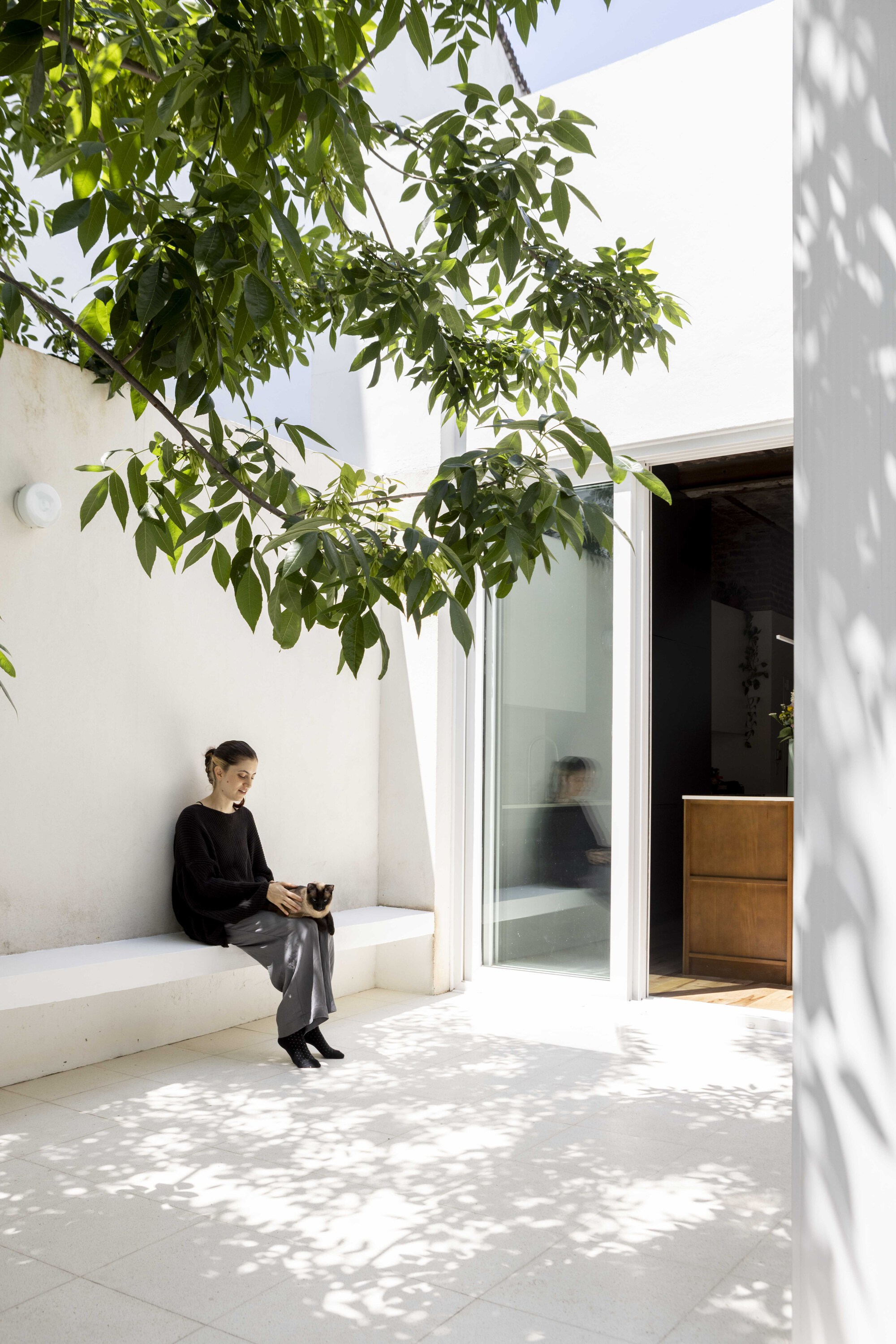 Woman sitting with a cat on a built-in white bench in a courtyard, dappled leaf shadows across the paving