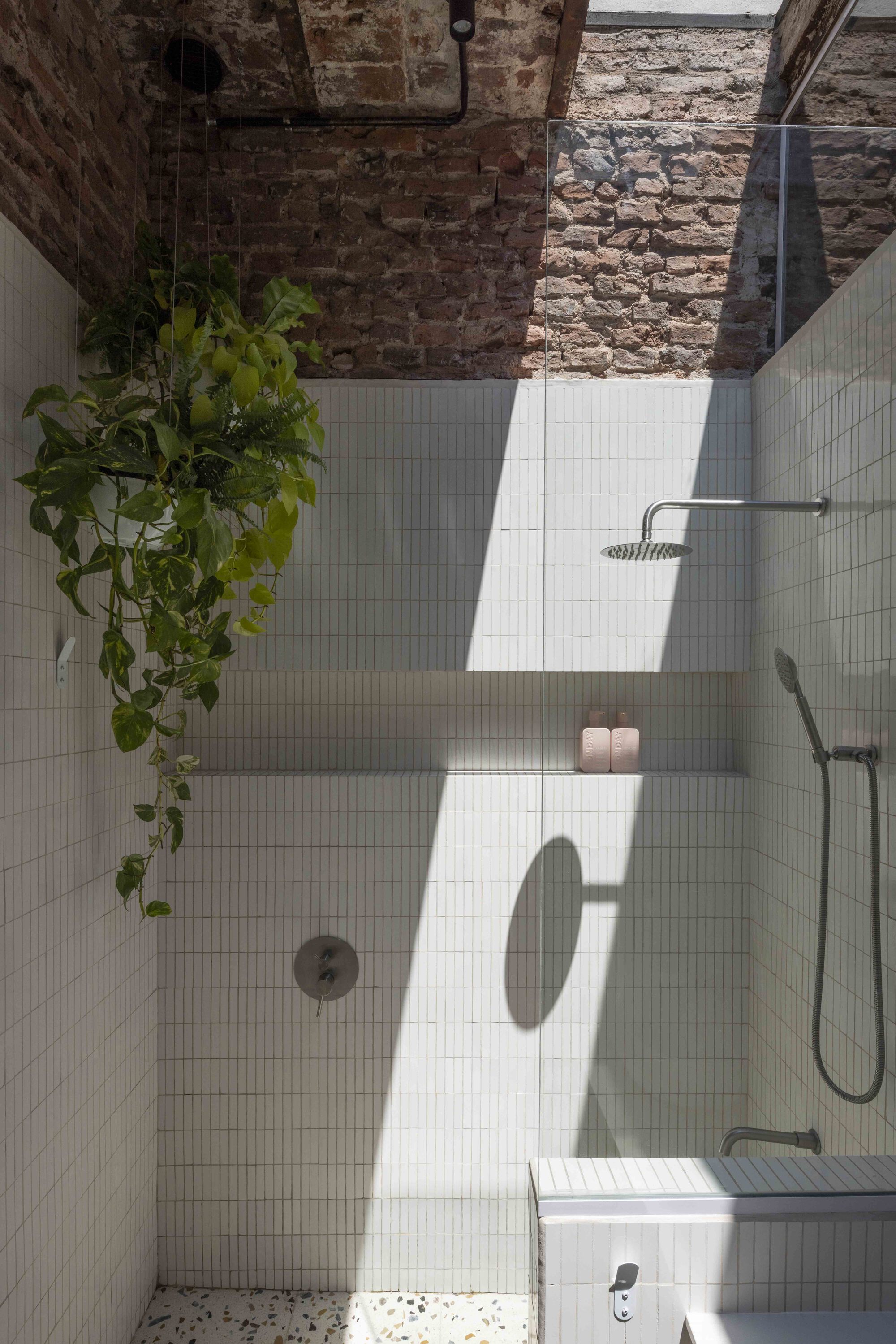Shower with white stick tiles and a hanging pothos, sunlight casting hard shadows beneath an exposed brick wall and glass panel