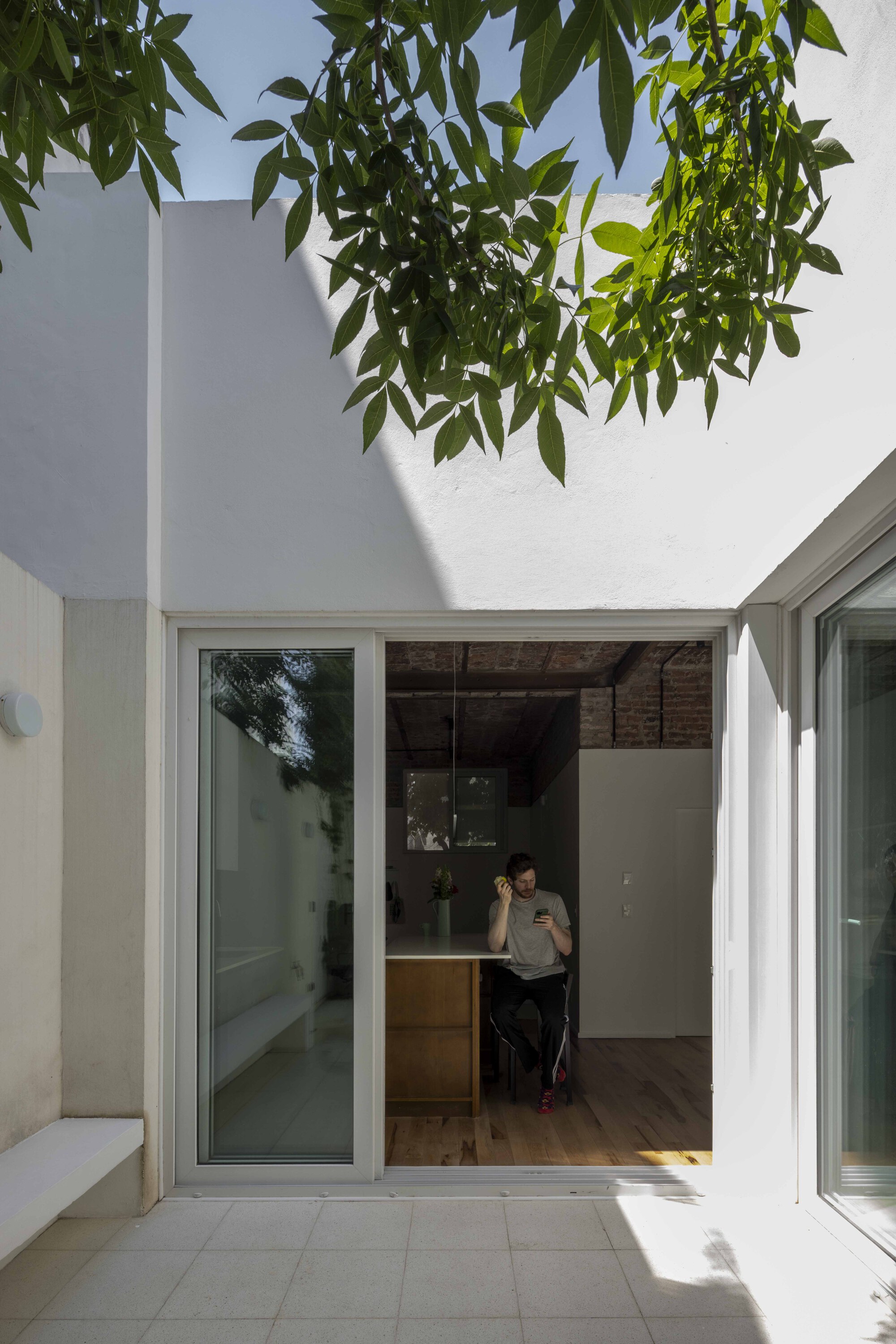 Seated man seen through the glass doors of the kitchen from the sunlit patio, with tree leaves hanging overhead