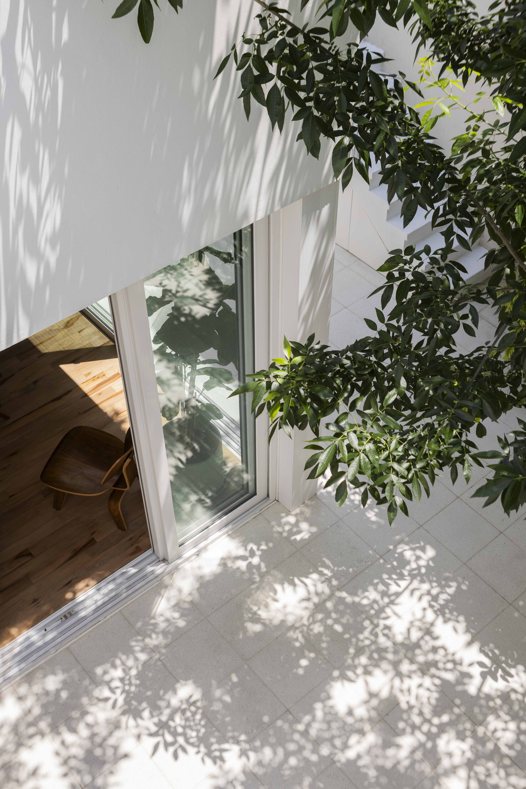View down from above onto a sliding glass door and paving, dappled with leaf shadows from a courtyard tree