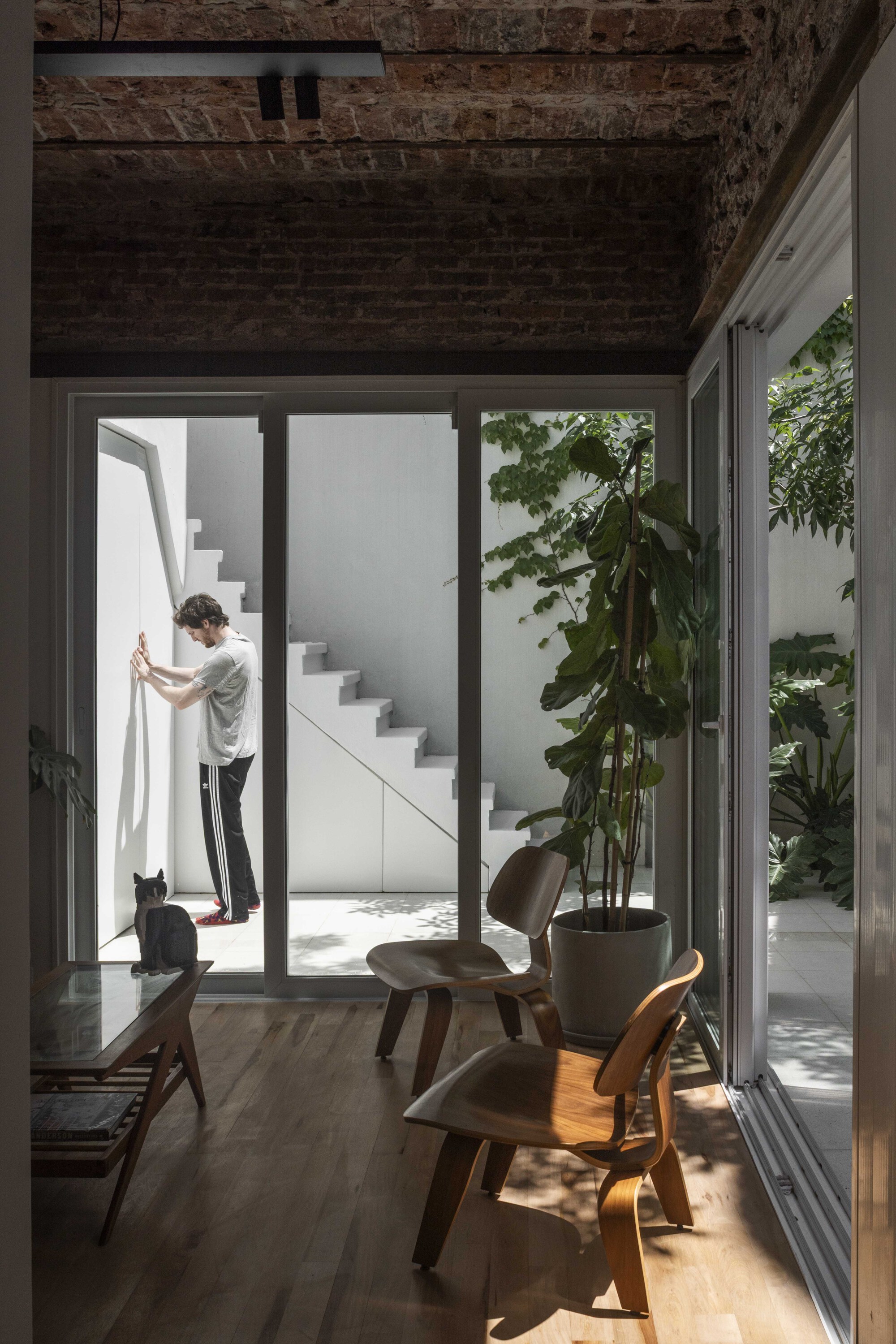 View through glass doors to a white exterior staircase, where a man touches the wall and a cat sits nearby