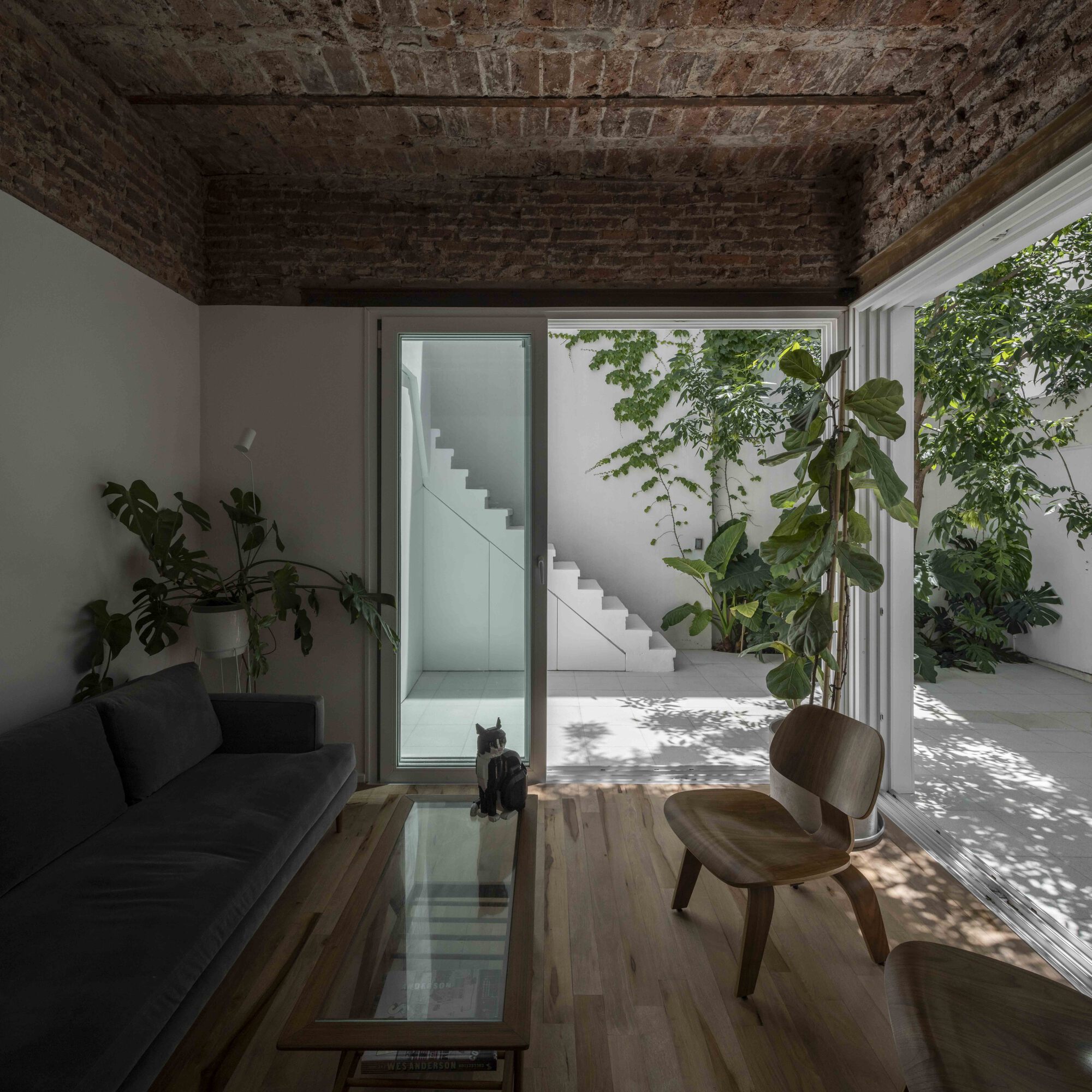 Sofa and glass-top coffee table facing a sunlit patio with a white stair, a fiddle-leaf fig and dappled shadows