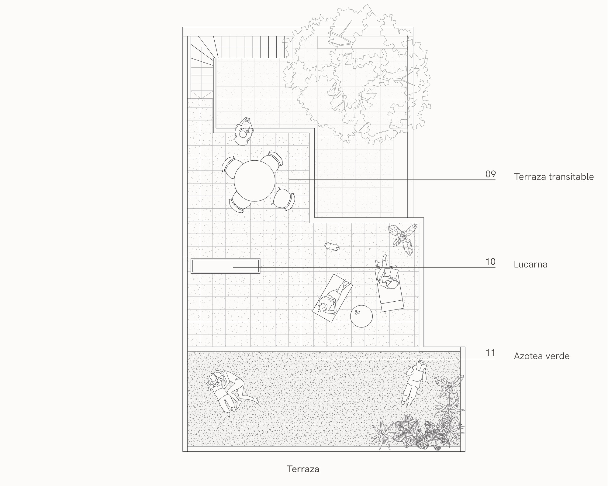 Rooftop terrace plan drawing showing a paved walkable deck, a skylight, a green roof strip, a round table, loungers and a tree