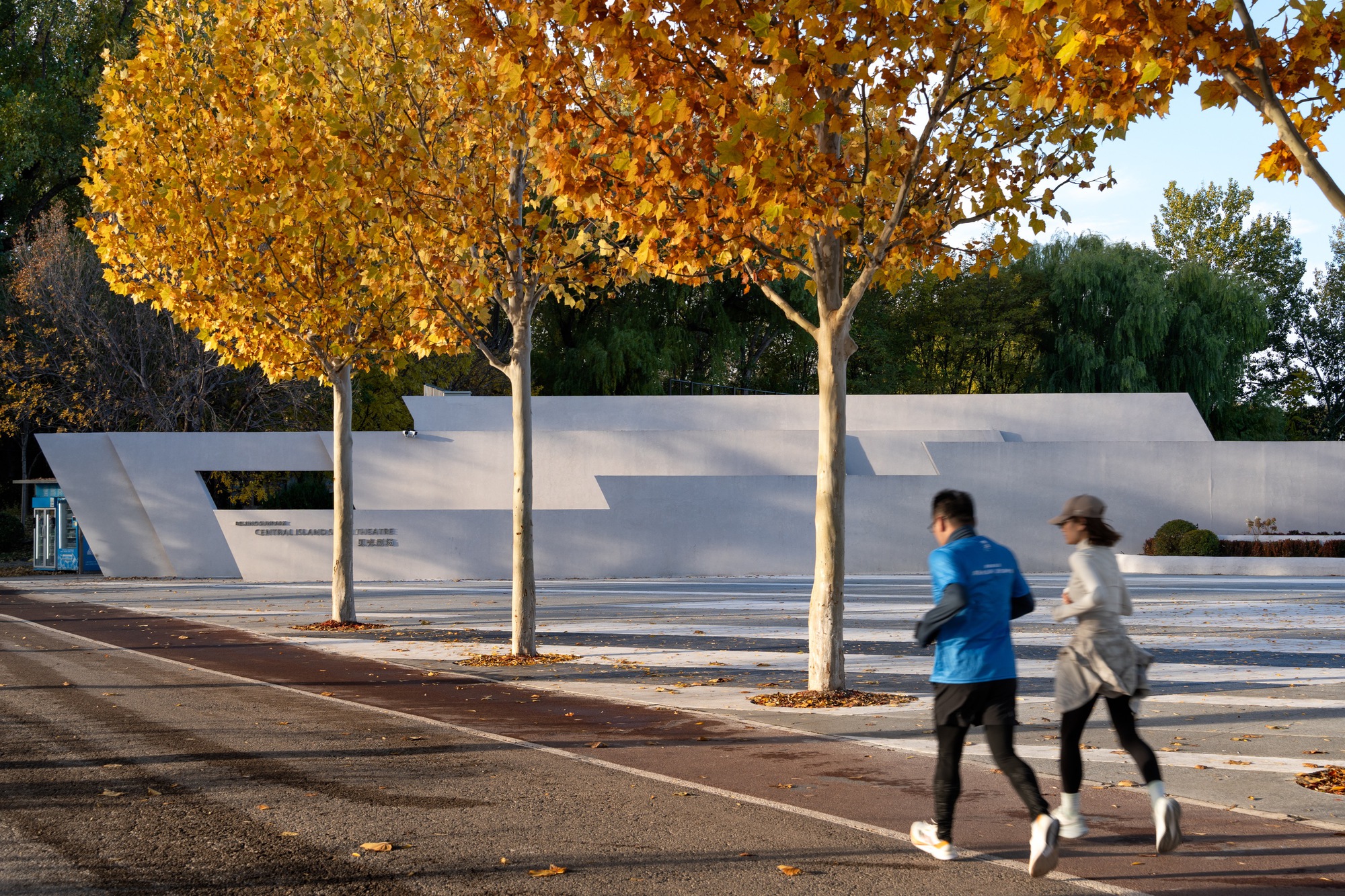 Two joggers pass plane trees in golden leaf in front of the long, angular white wall in low afternoon sun