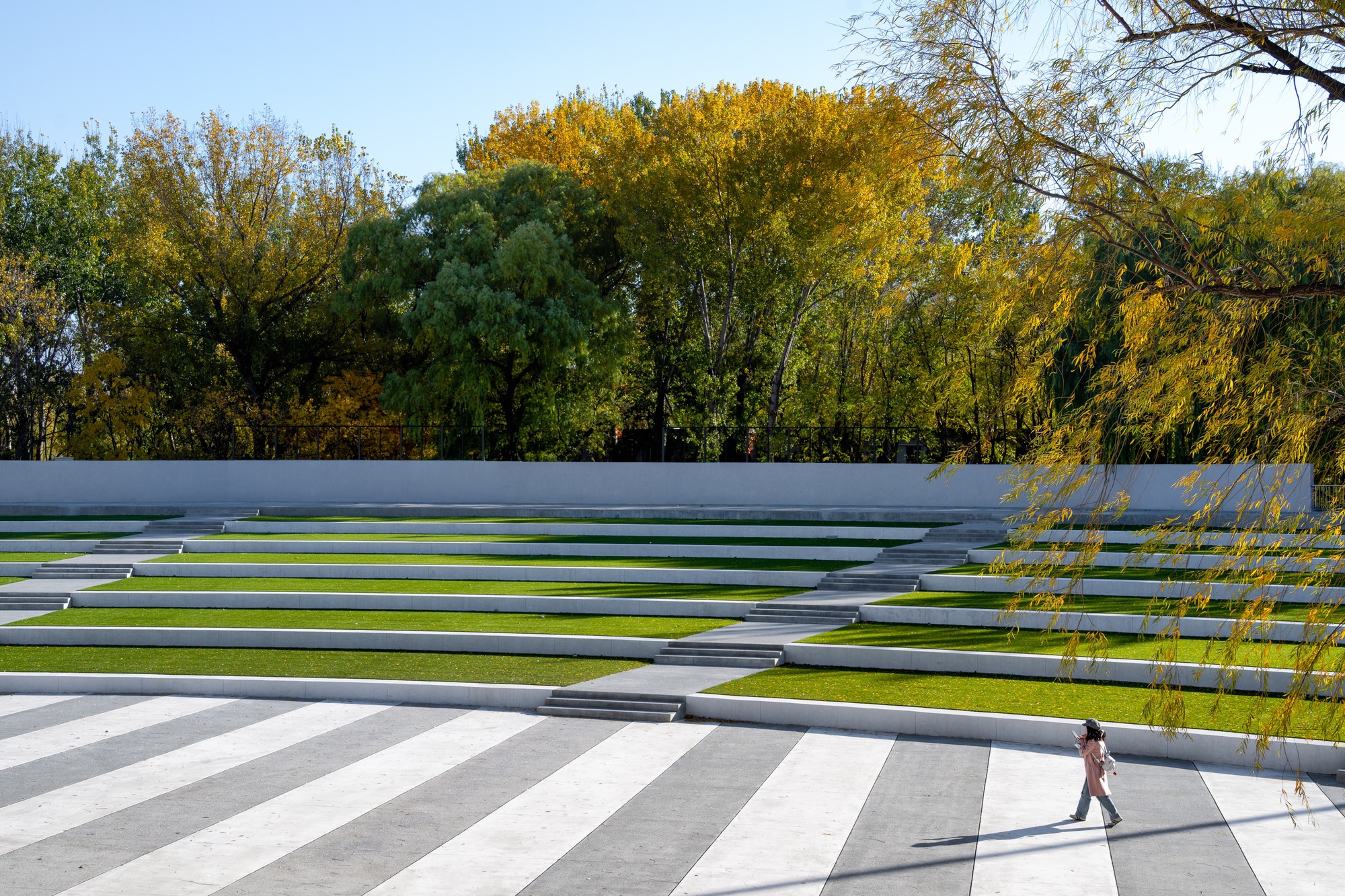 Terraced lawn steps with white edging above a striped paving plaza, a pedestrian crossing under drooping willow branches in autumn sun