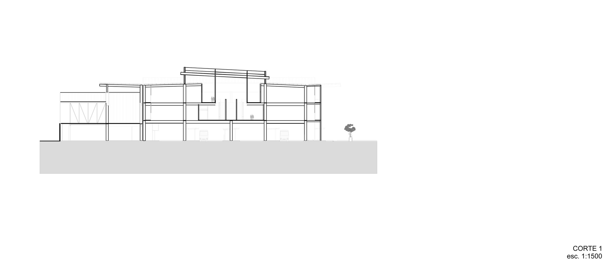 Cross section drawing of a three-storey building with a raised central roof, slab levels and a small tree standing at the right