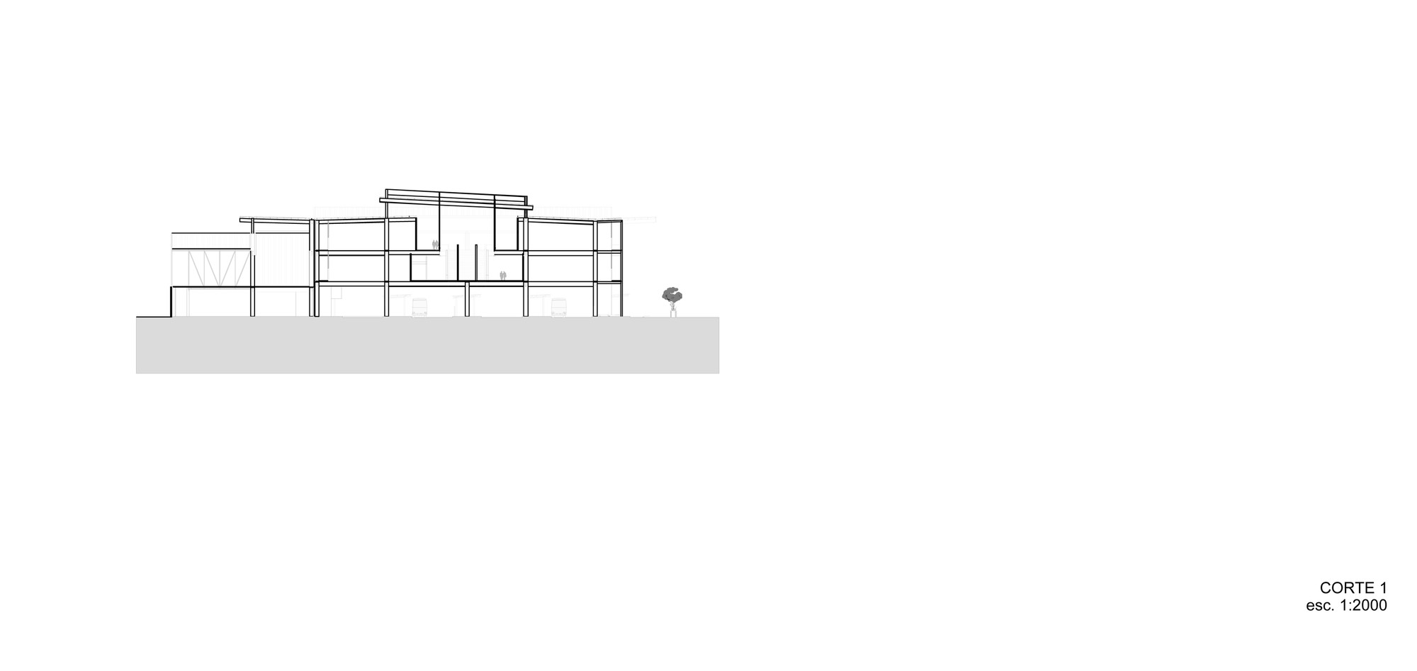 Section drawing at small scale showing a multi-storey volume with slender columns, stepped floor slabs and a raised clerestory roof beside a lone tree