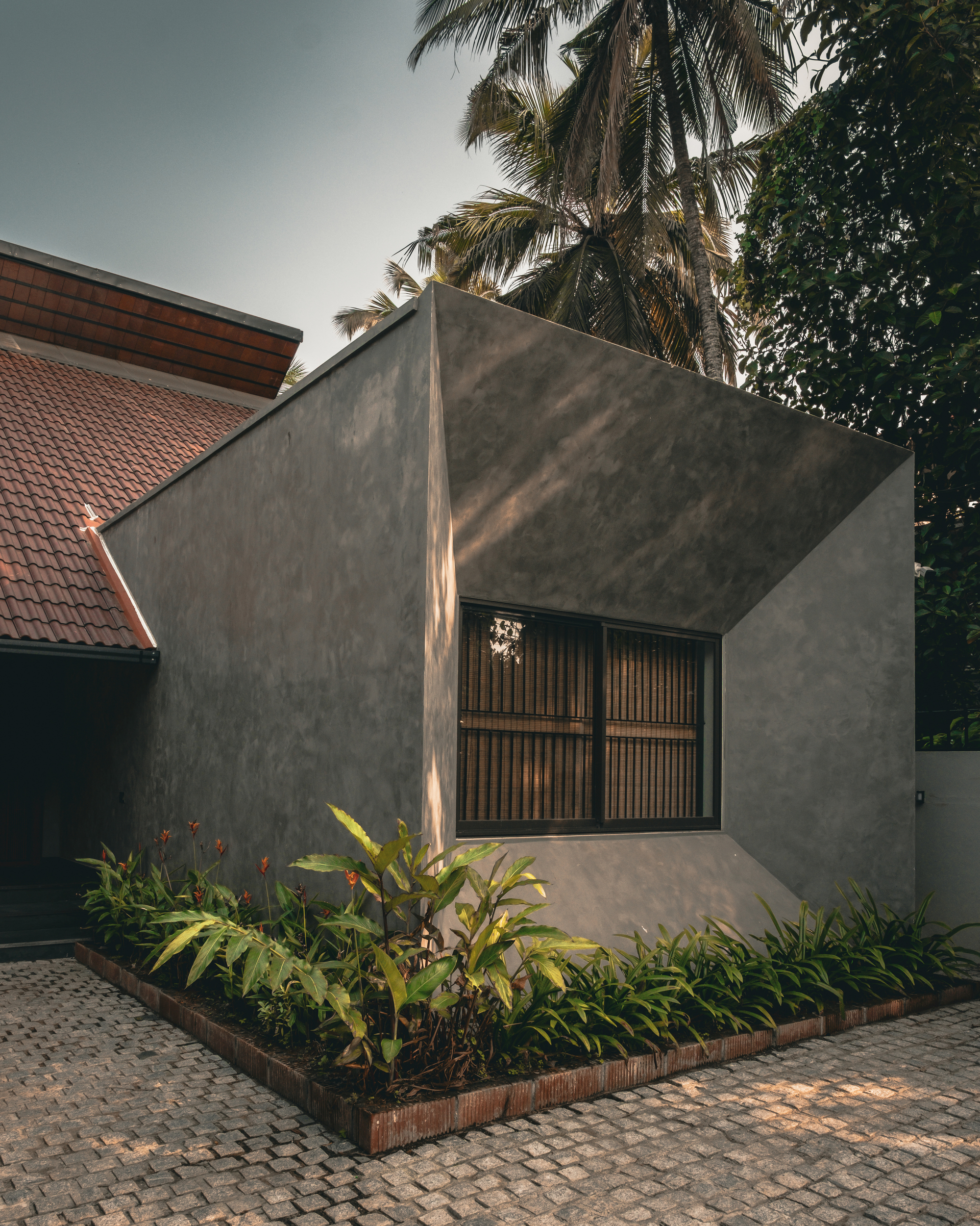 Grey plastered wall folding into an angular bay with a timber-screened window above a brick-edged planting bed, palms behind