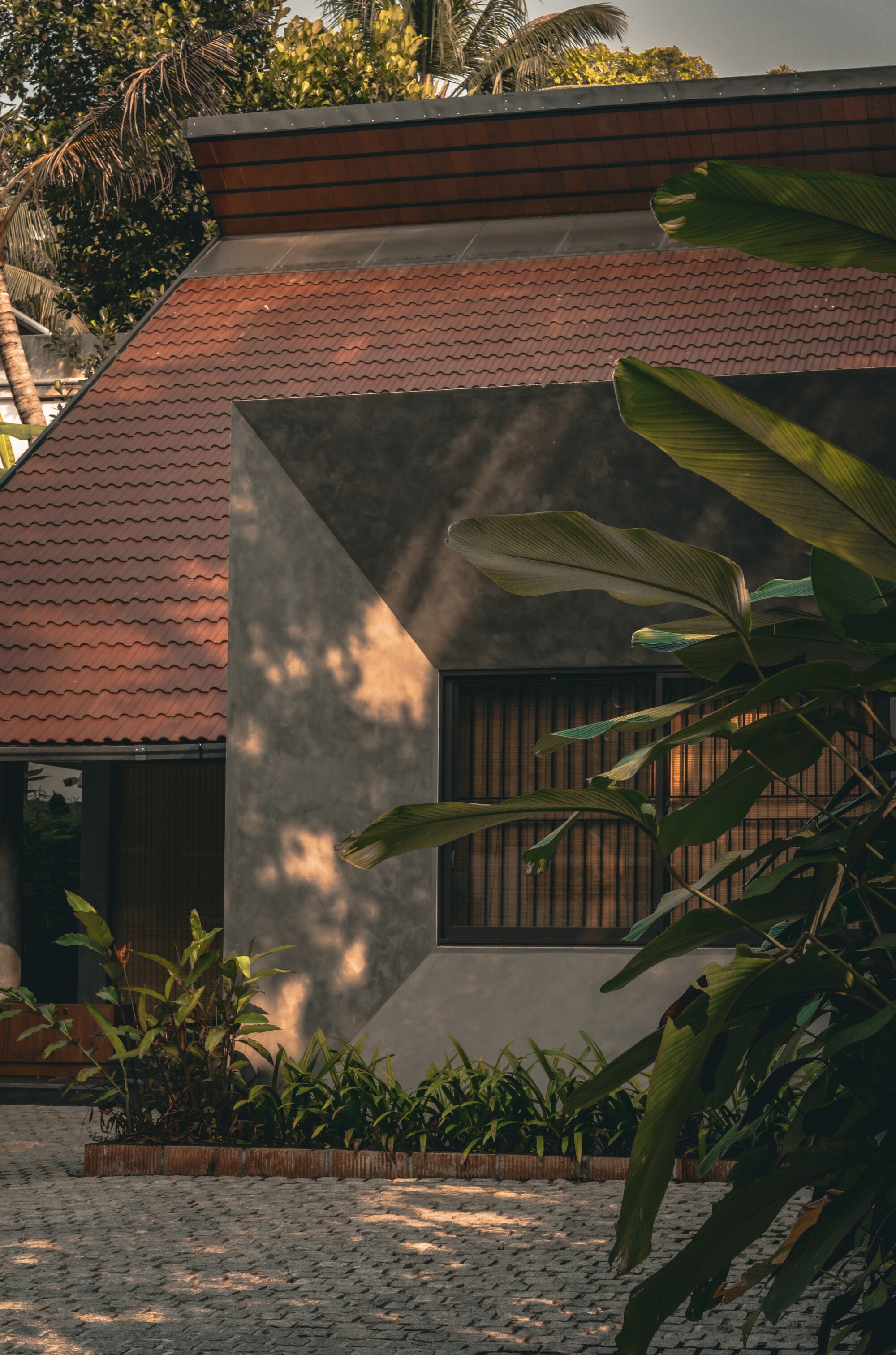 Tiled roof and grey angular bay framed by large banana leaves in the foreground, with sunlight dappling the plastered wall