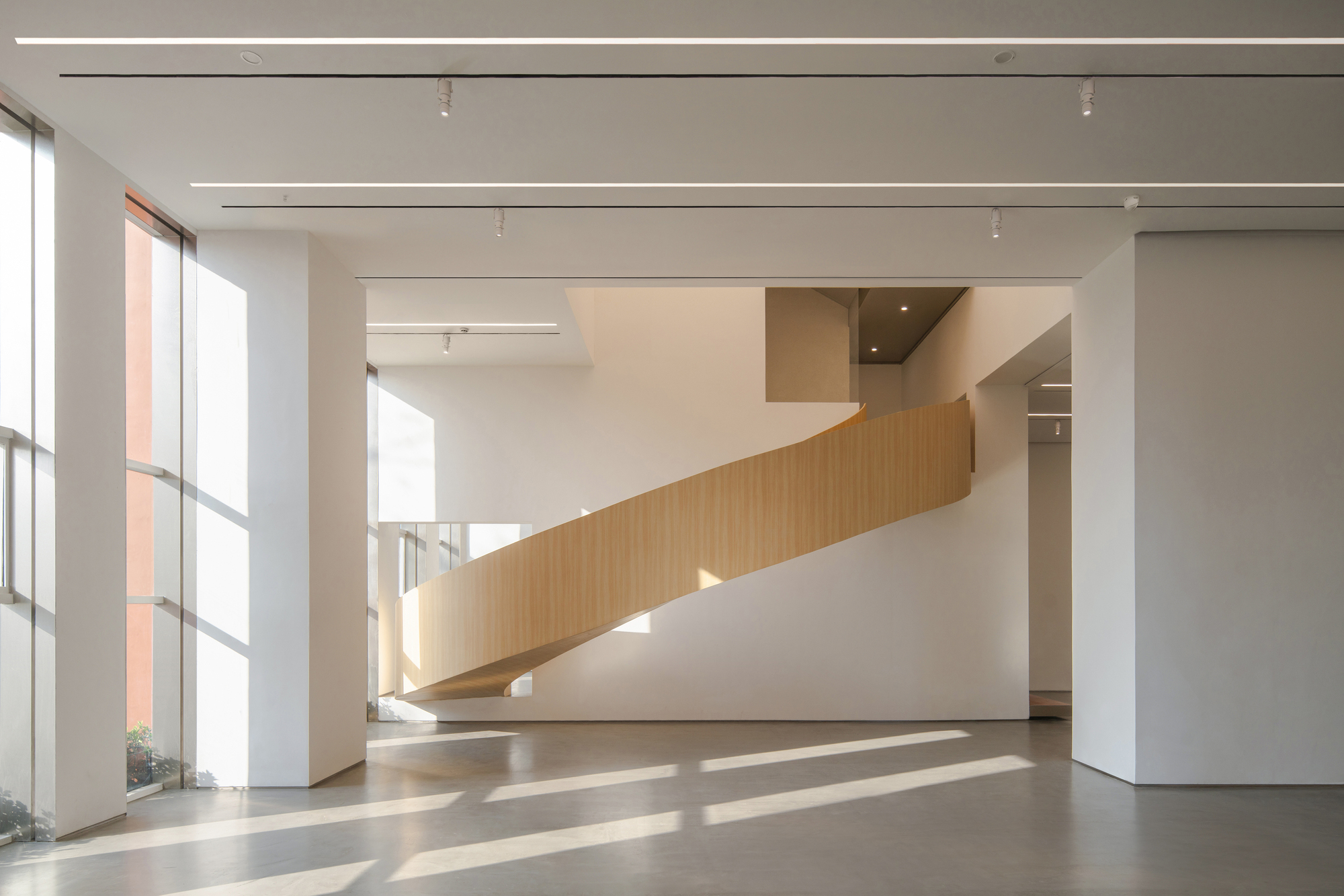 Curving wood-veneer stair balustrade sweeping across a white wall, with low morning sun casting streaks across the concrete floor