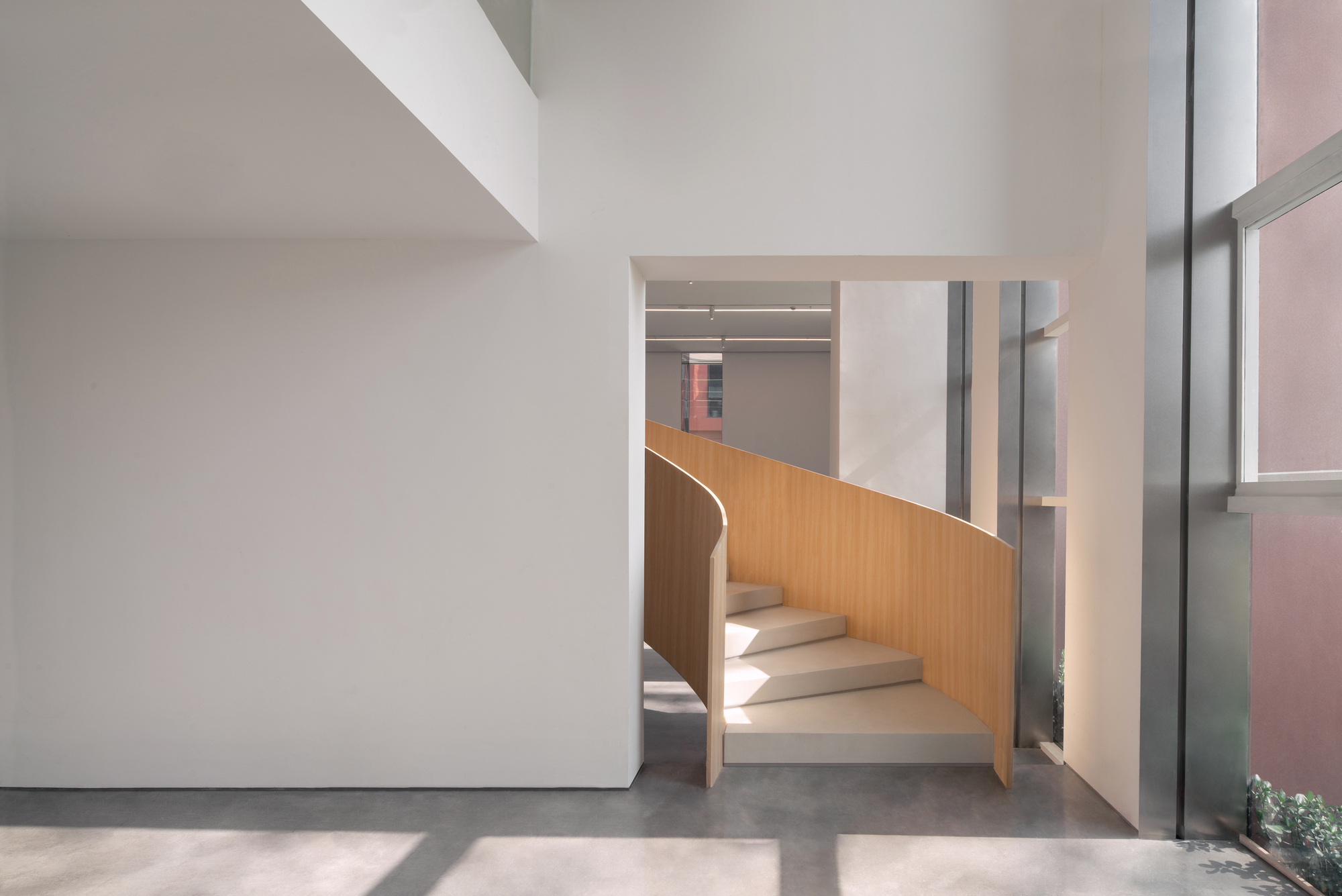 Curving timber-walled spiral stair seen through a framed opening in a white wall, with sunlight on the concrete floor