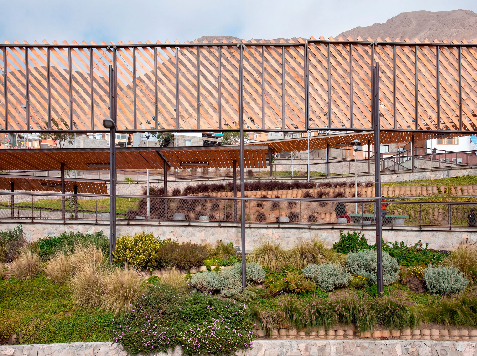 Diagonal timber slat screen above stone retaining walls and terraced beds of grasses and silvery shrubs, with a brown mountain behind