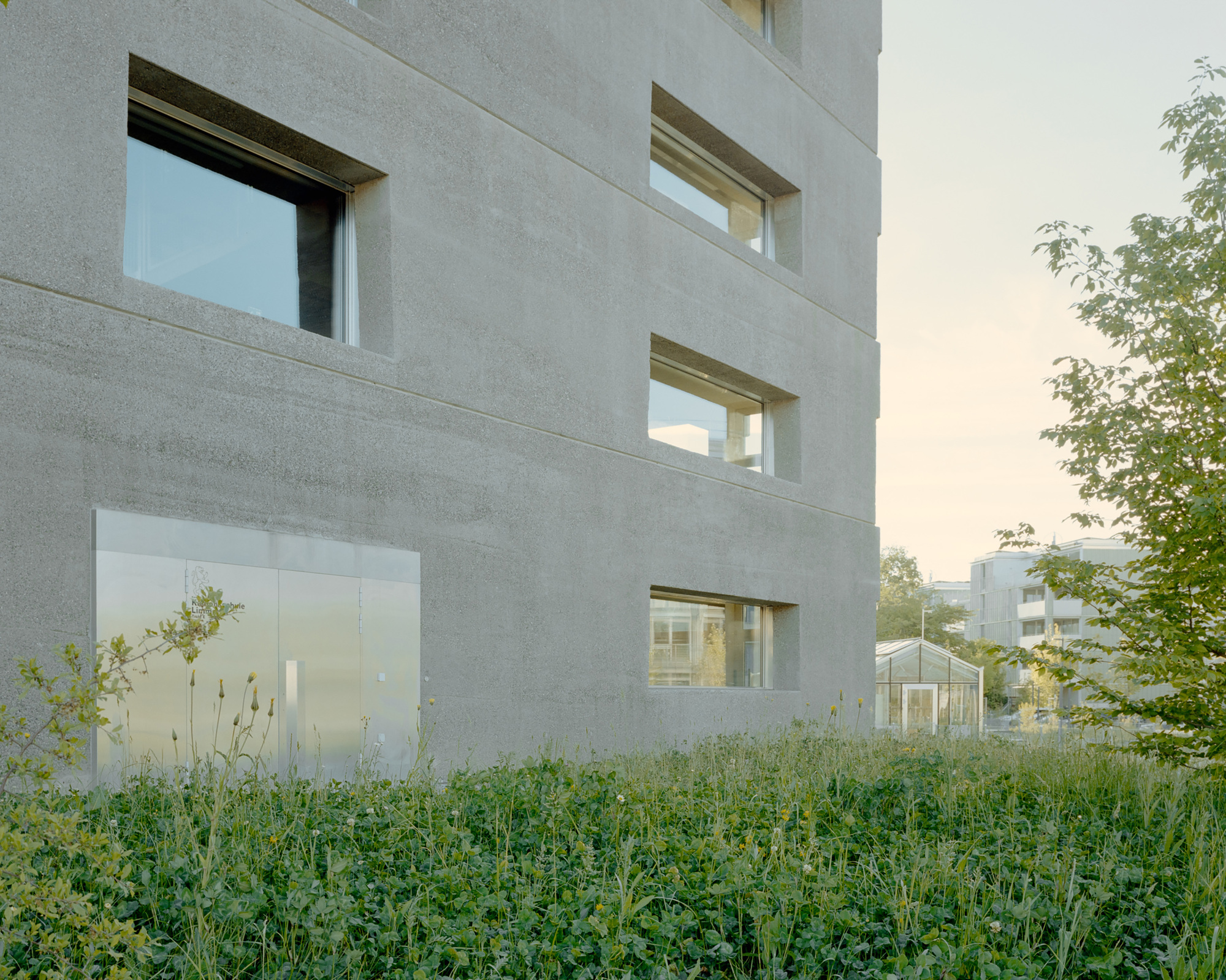 Rough concrete facade with deep-set rectangular windows and a metal panel door, with clover and a small greenhouse in the dusk light
