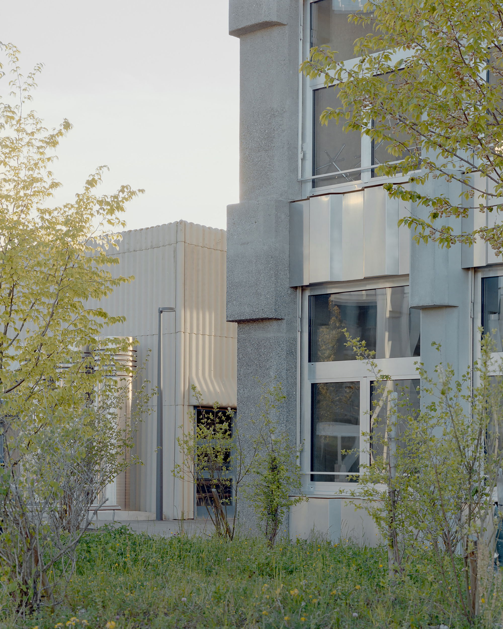 Corner of a pebbled concrete facade with stepped projections beside a corrugated metal volume, framed by budding trees and grass