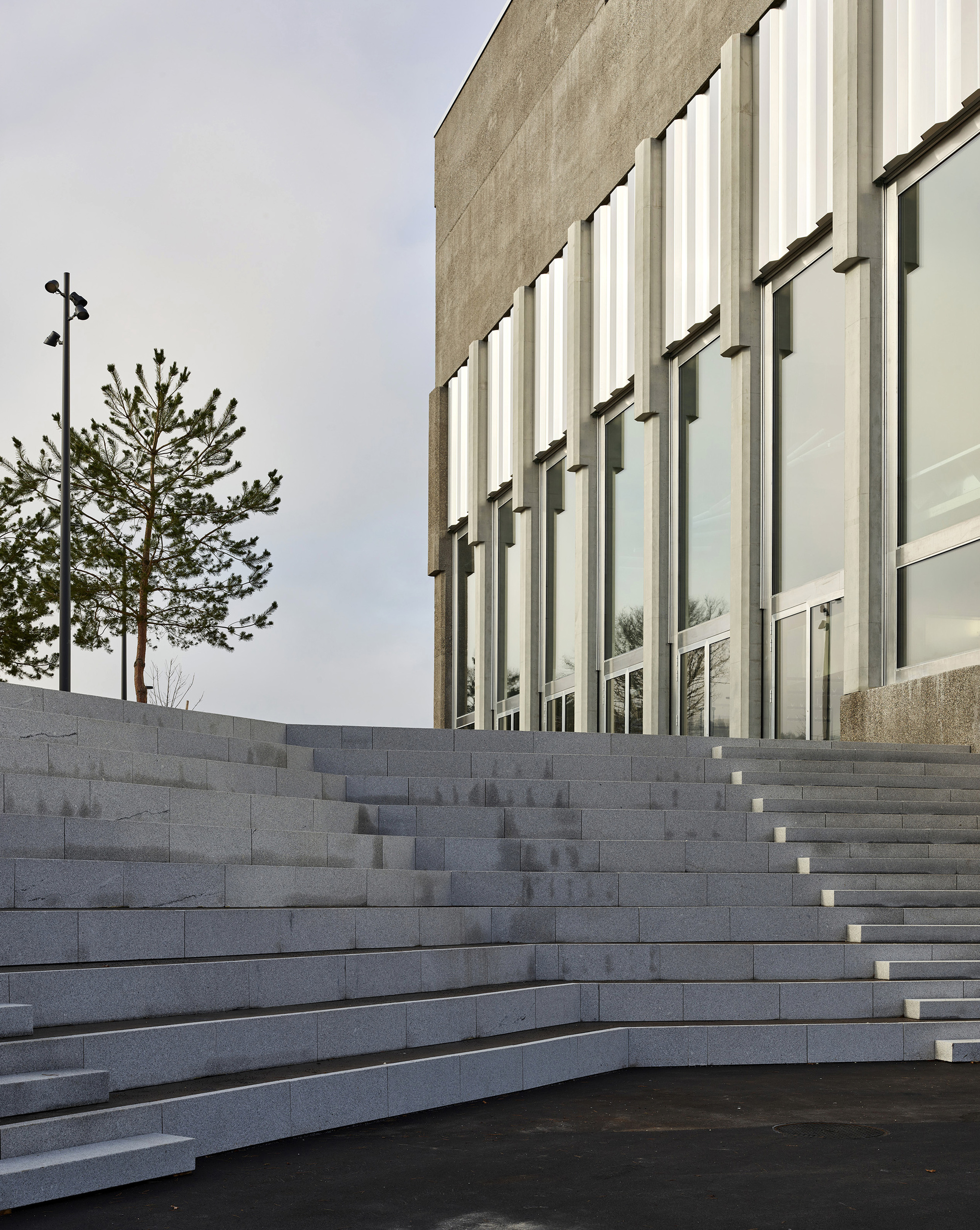 Wide granite steps rising toward a concrete facade with vertical glazing, with a young pine and lamp post under overcast sky
