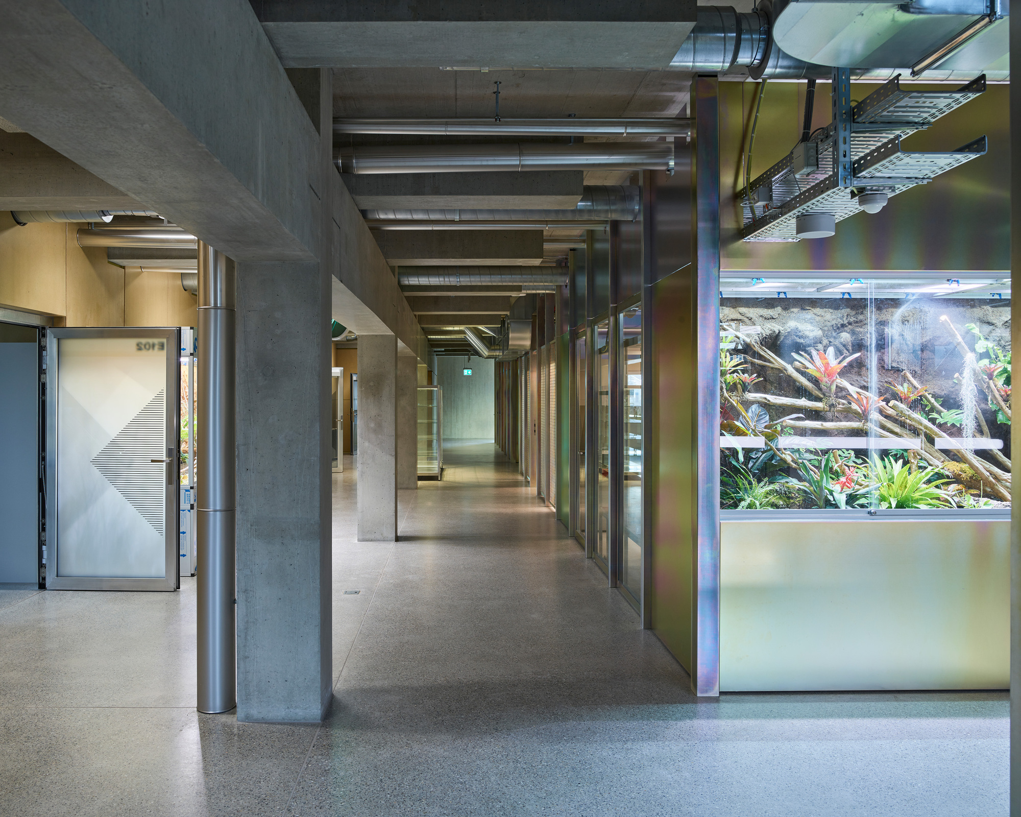 Corridor lined with concrete columns and exposed services, with a lit terrarium of bromeliads and branches set into the right wall