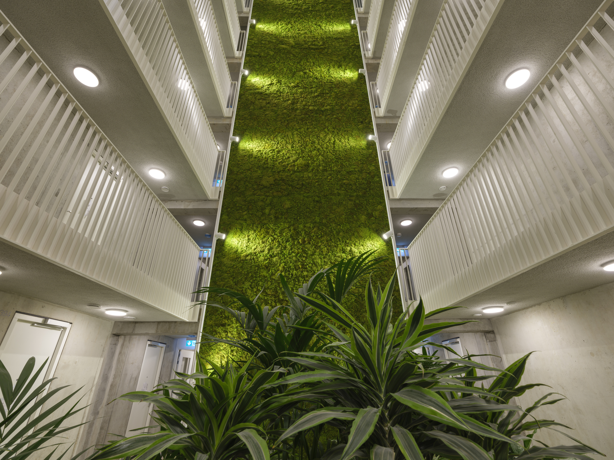 Looking up a lit atrium with a moss wall between white slatted balcony walkways and potted palms in the foreground