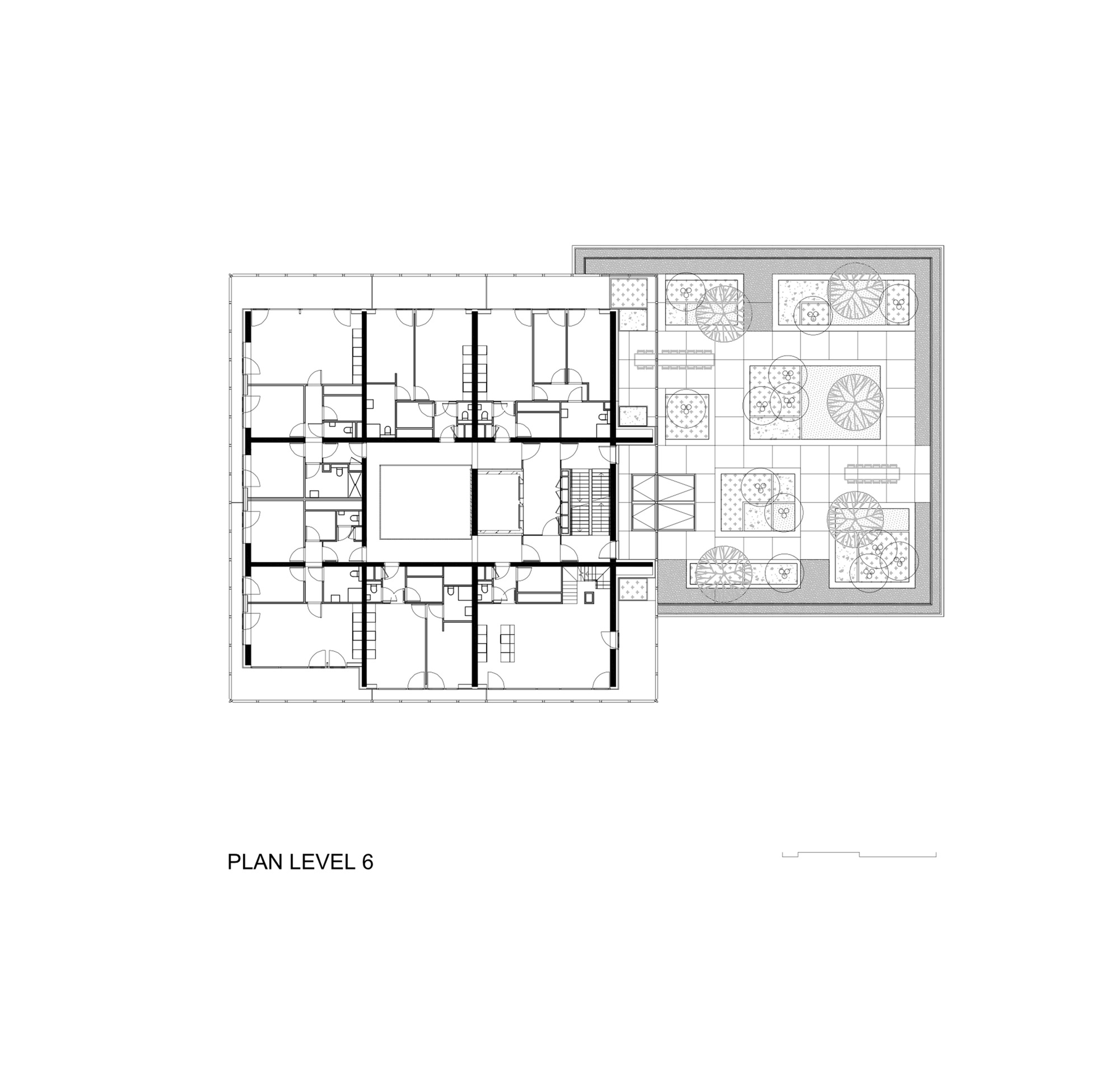Floor plan drawing of level 6 showing apartments around a central core beside a large roof terrace with planters and trees