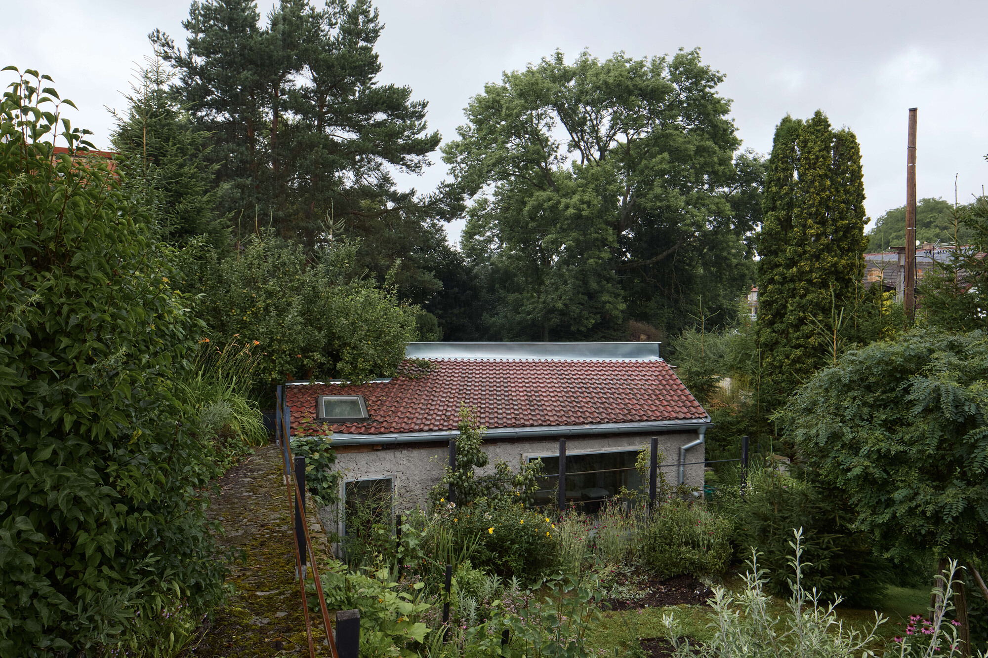 Small cottage with clay tile roof and skylight seen through dense garden planting under an overcast sky