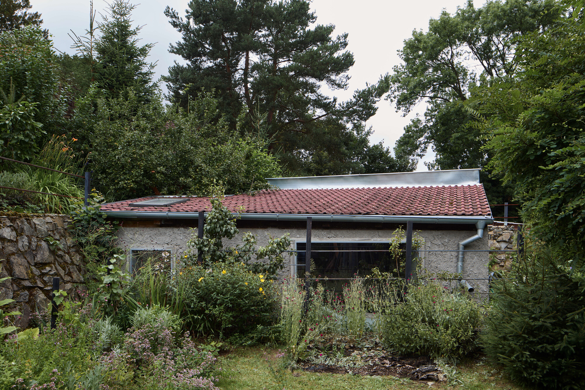 Low garden building with red clay tile roof and rough plastered wall, half hidden by overgrown flowering shrubs under an overcast sky