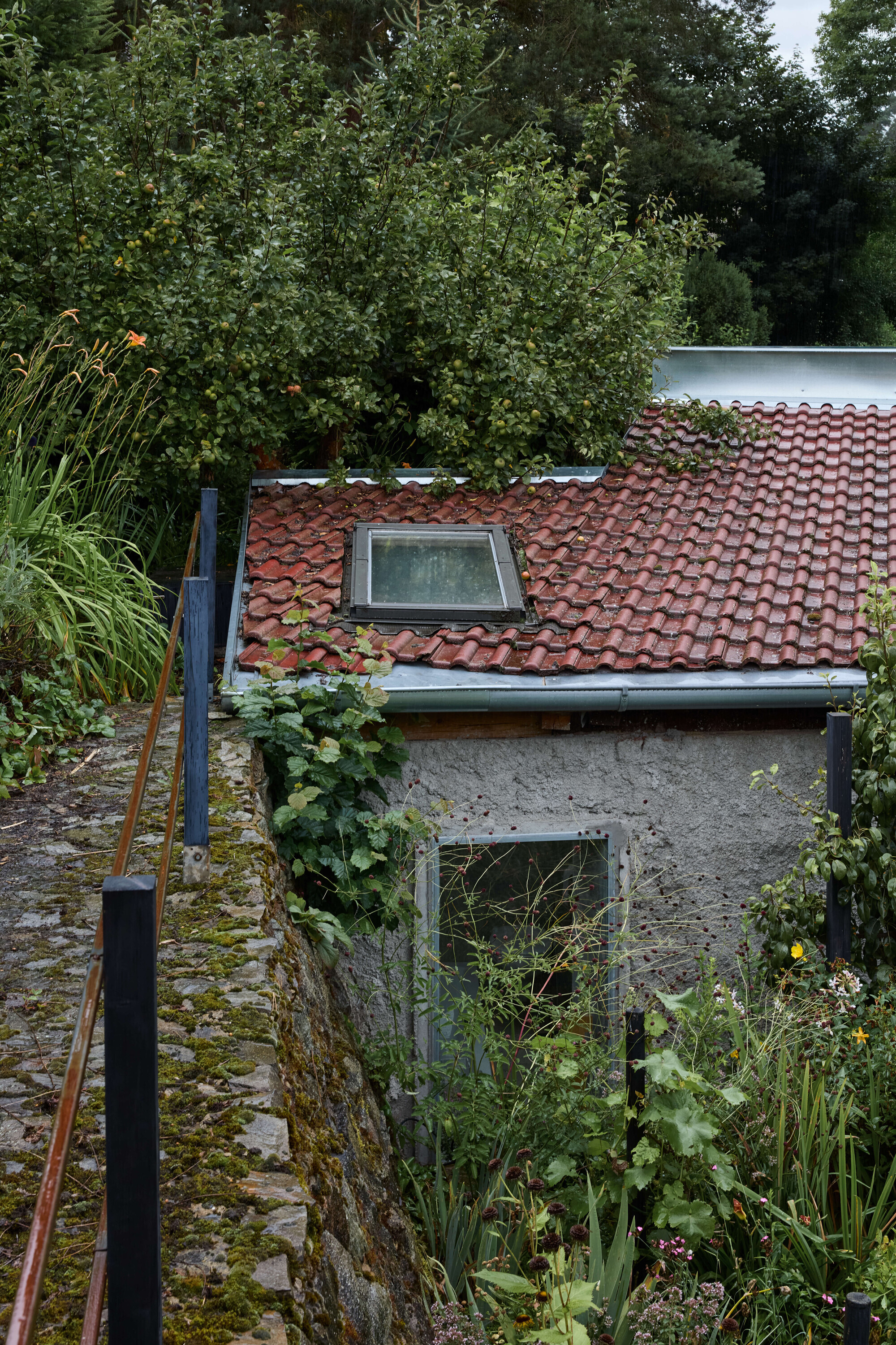 Terracotta tiled roof with a skylight above a plastered wall, mossy stone steps and a rusted handrail in overcast light