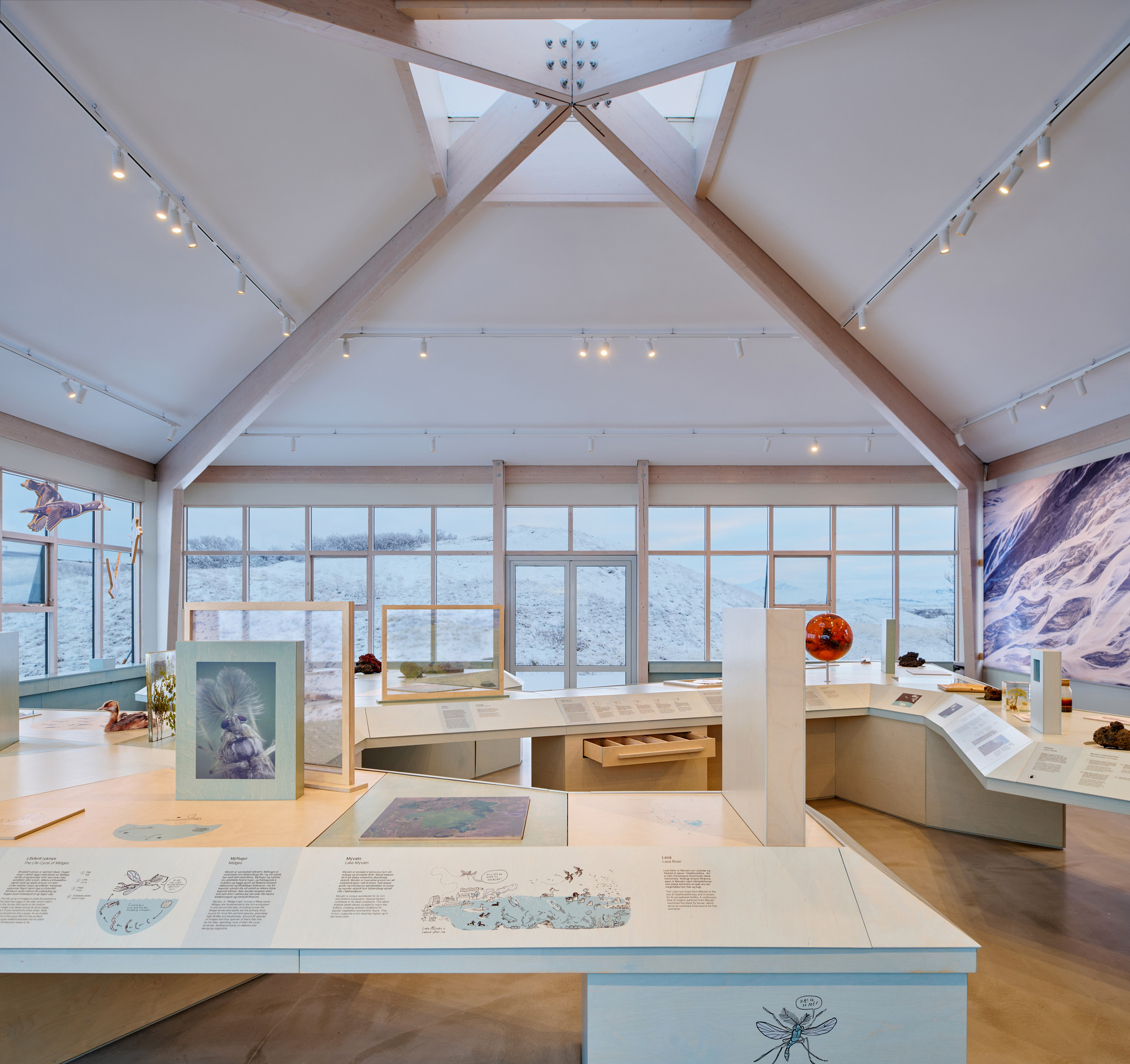 Exhibition hall with exposed timber roof trusses, track lighting and angular display tables, with snowy hills visible through the windows
