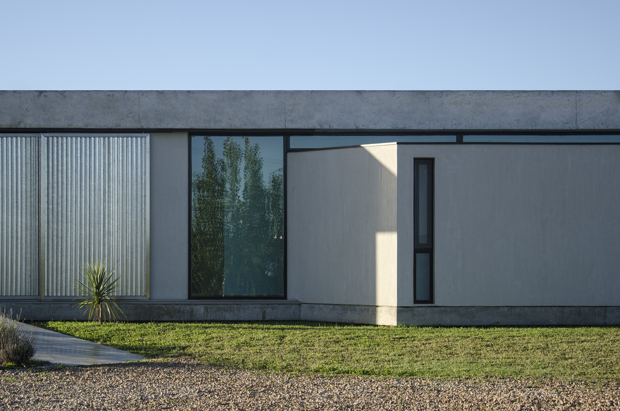 Facade detail of corrugated metal panels, a tall dark-framed window reflecting poplars, and a white wall in low afternoon sun