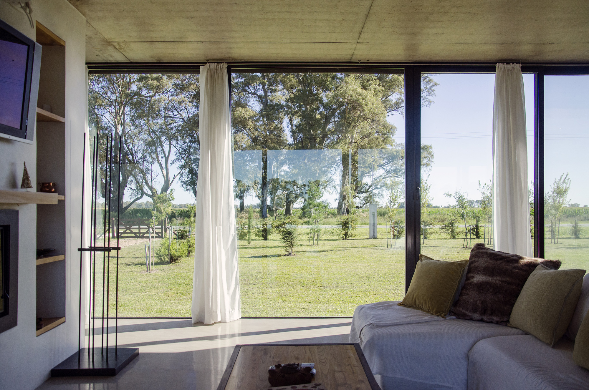 Living room interior with sofa, cushions and white curtains opening through floor-to-ceiling glass to a lawn and eucalyptus trees
