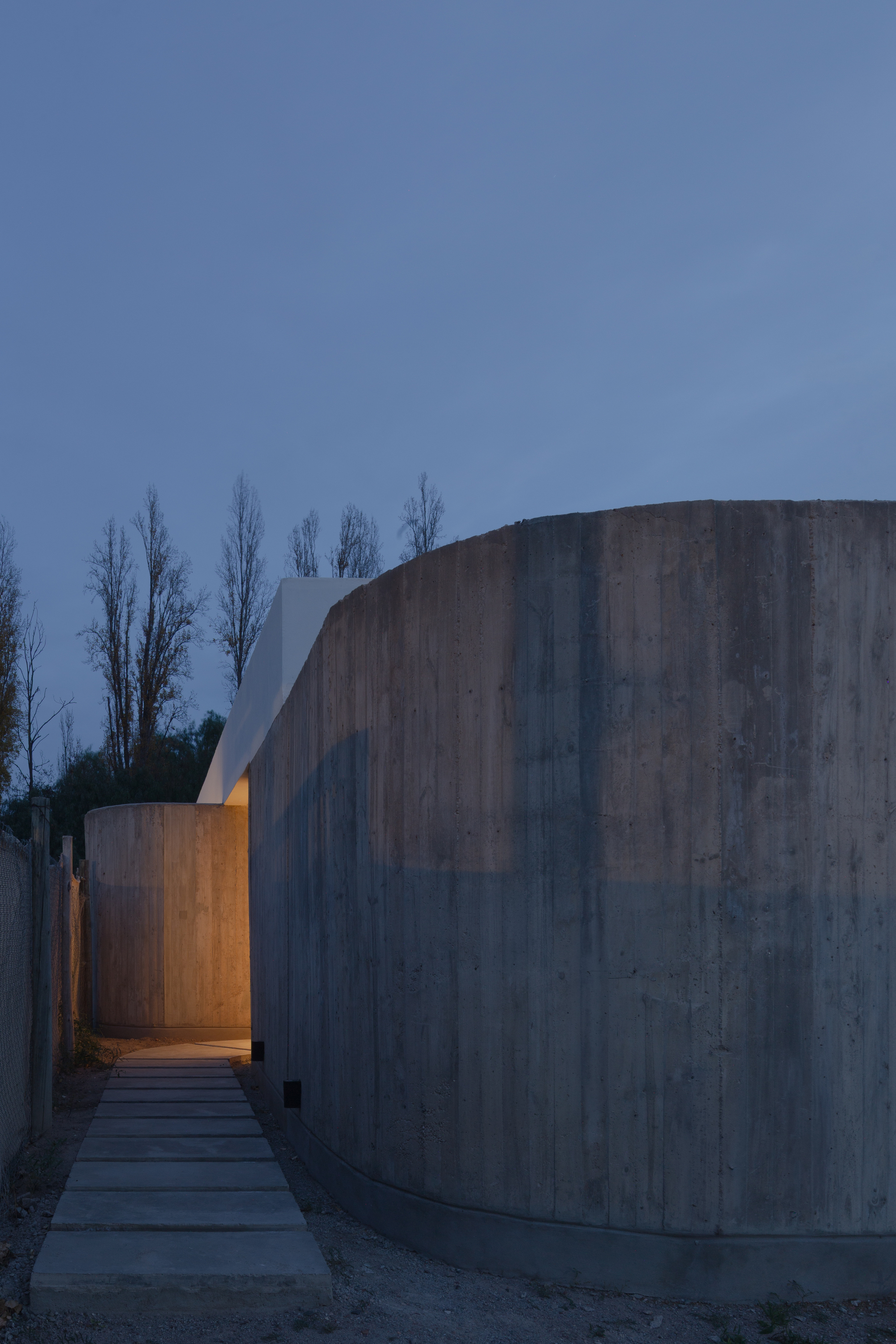 Curving board-formed concrete wall beside a paved stepping-stone path that leads toward a lit entrance at blue hour, poplars behind