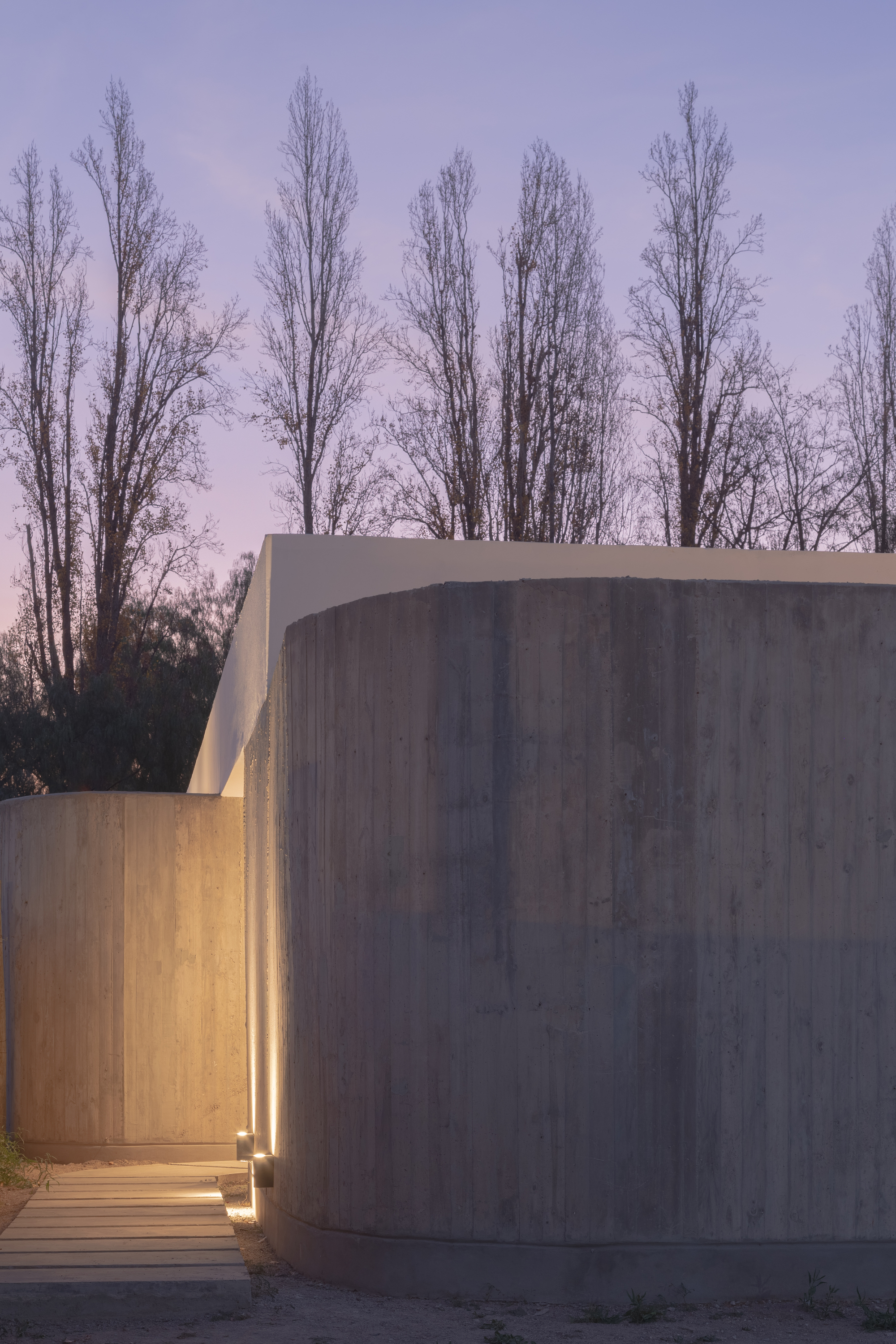 Rounded concrete wall with a low strip of light along its edge, set against tall bare poplars in a violet twilight sky