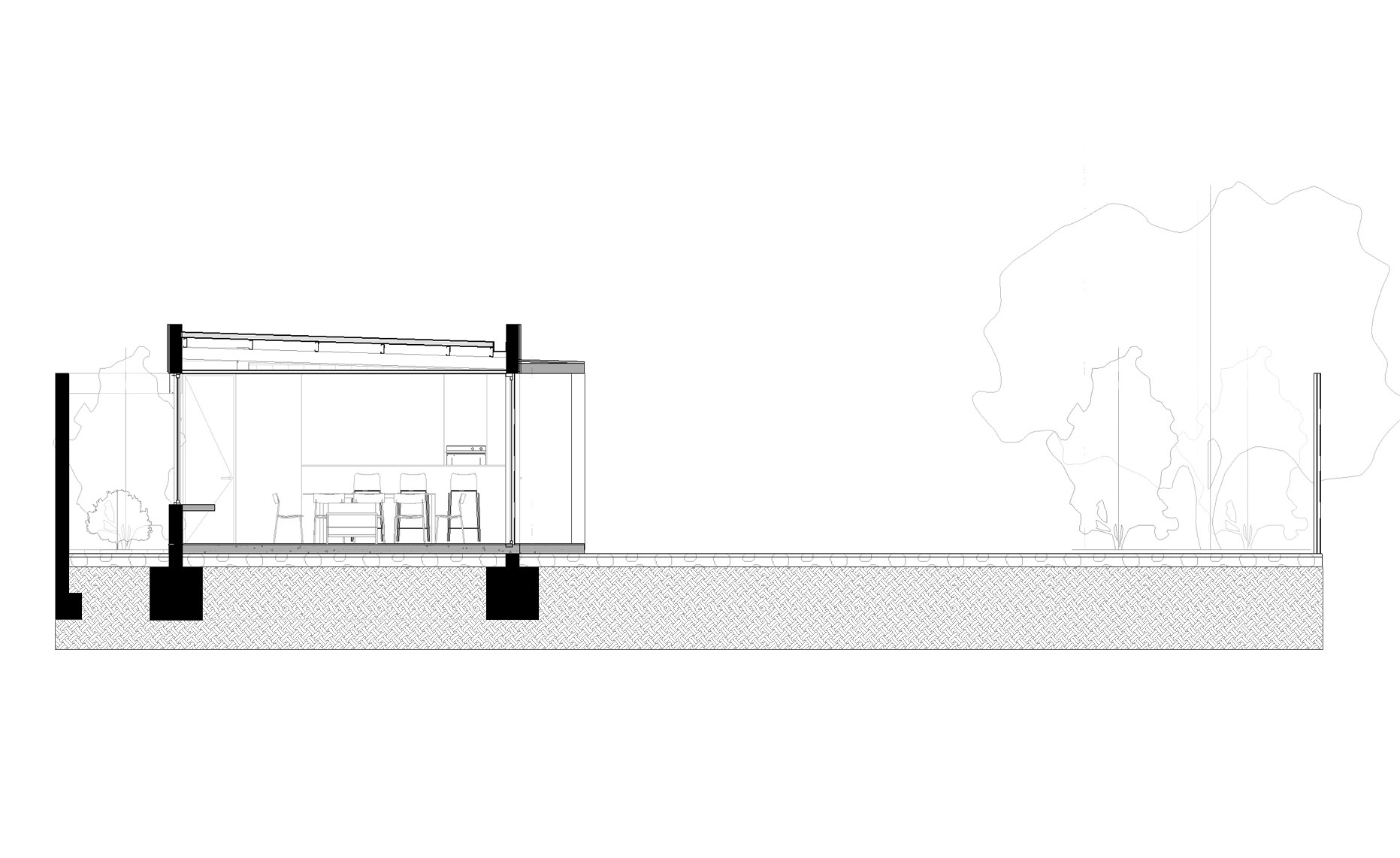 Cross-section drawing through the kitchen and dining volume, showing a thin sloped roof, glazed walls and concrete footings beside a tree outline