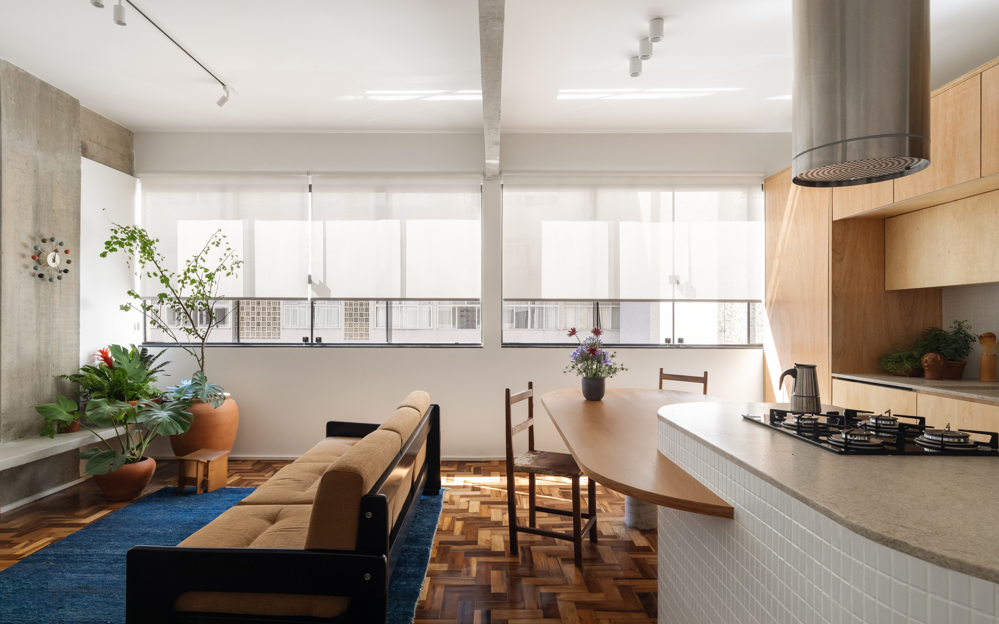 Living area seen past the tiled island and steel range hood, with a blue rug and terracotta planters under diffused daylight