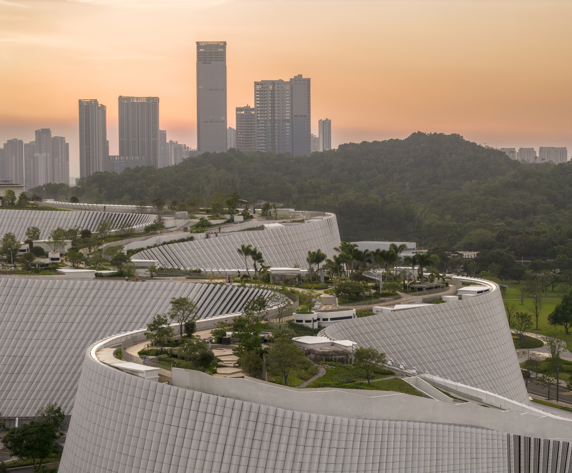 Planted rooftop terraces on the ribbed white curving volumes with palms, a forested hill and towers behind at sunset
