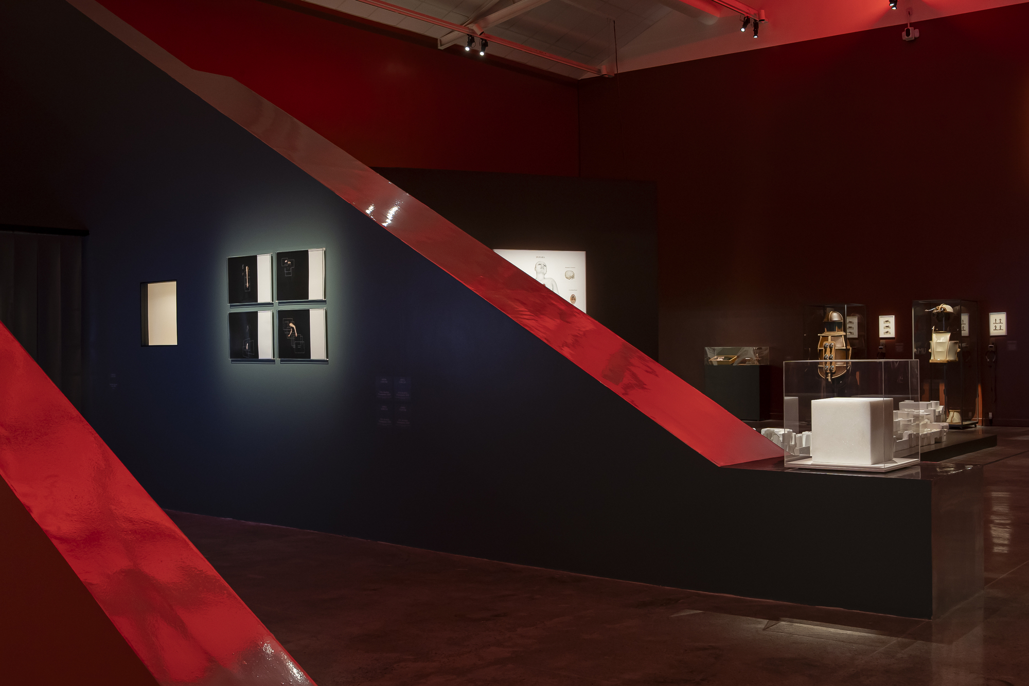 Slanted red ramp-like partition against a dark blue wall, with framed photographs and a glass vitrine of white models