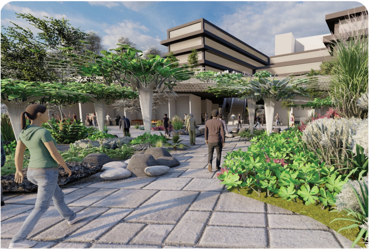 Garden path of large stone pavers lined with boulders, clover-like plants and tall umbrella-shaped trees, leading toward stepped terraced buildings under scatte. Image: Dylan Ramage