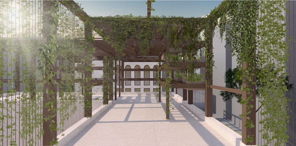 Rooftop walkway under a vine-covered timber pergola with sunlight streaming across the pale paving toward an arched facade. Image: Sara Krzysztyniak