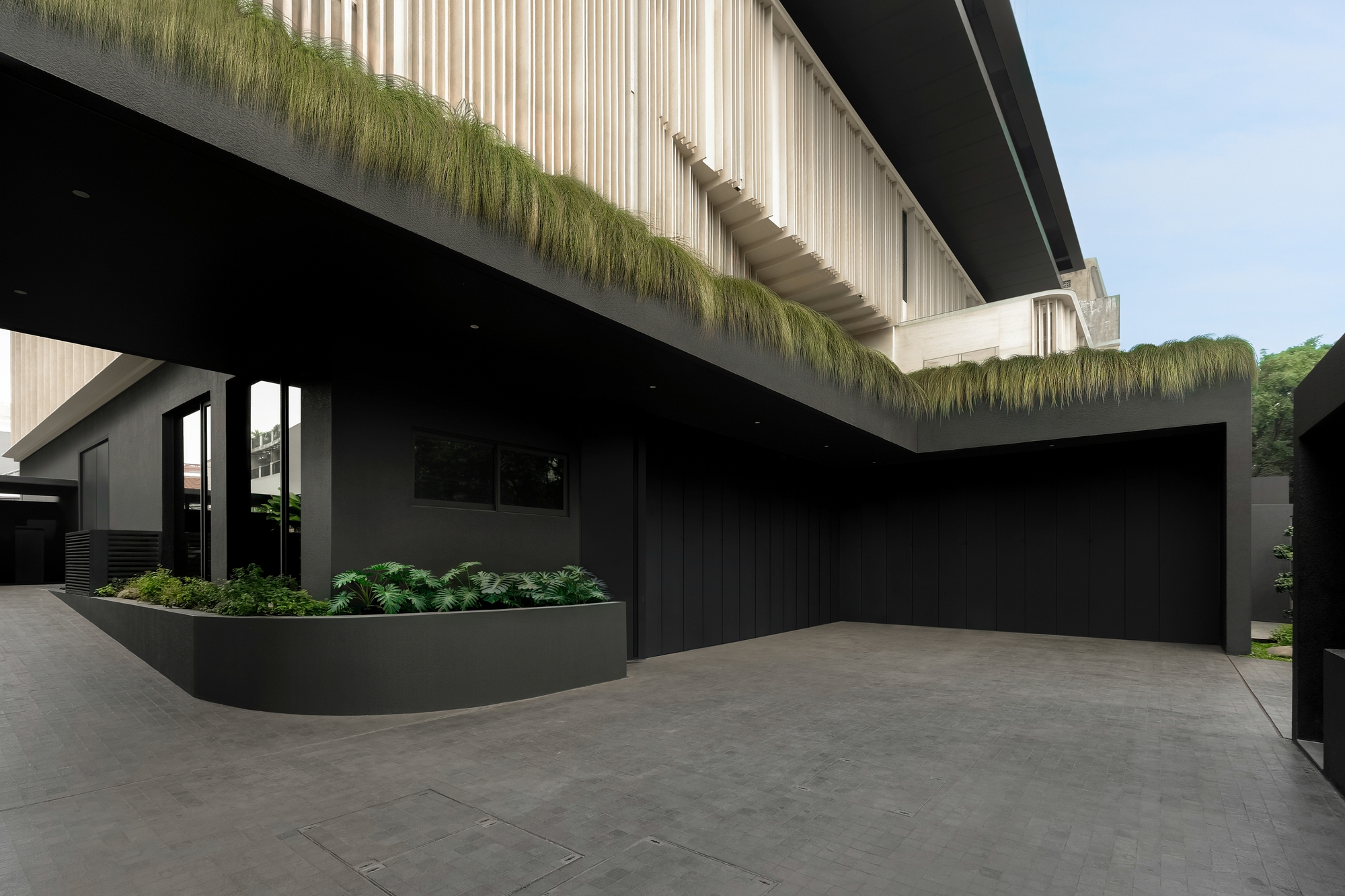 Dark forecourt under a cantilevered upper floor edged with draping grasses, with a curved planter of ferns beside the entry