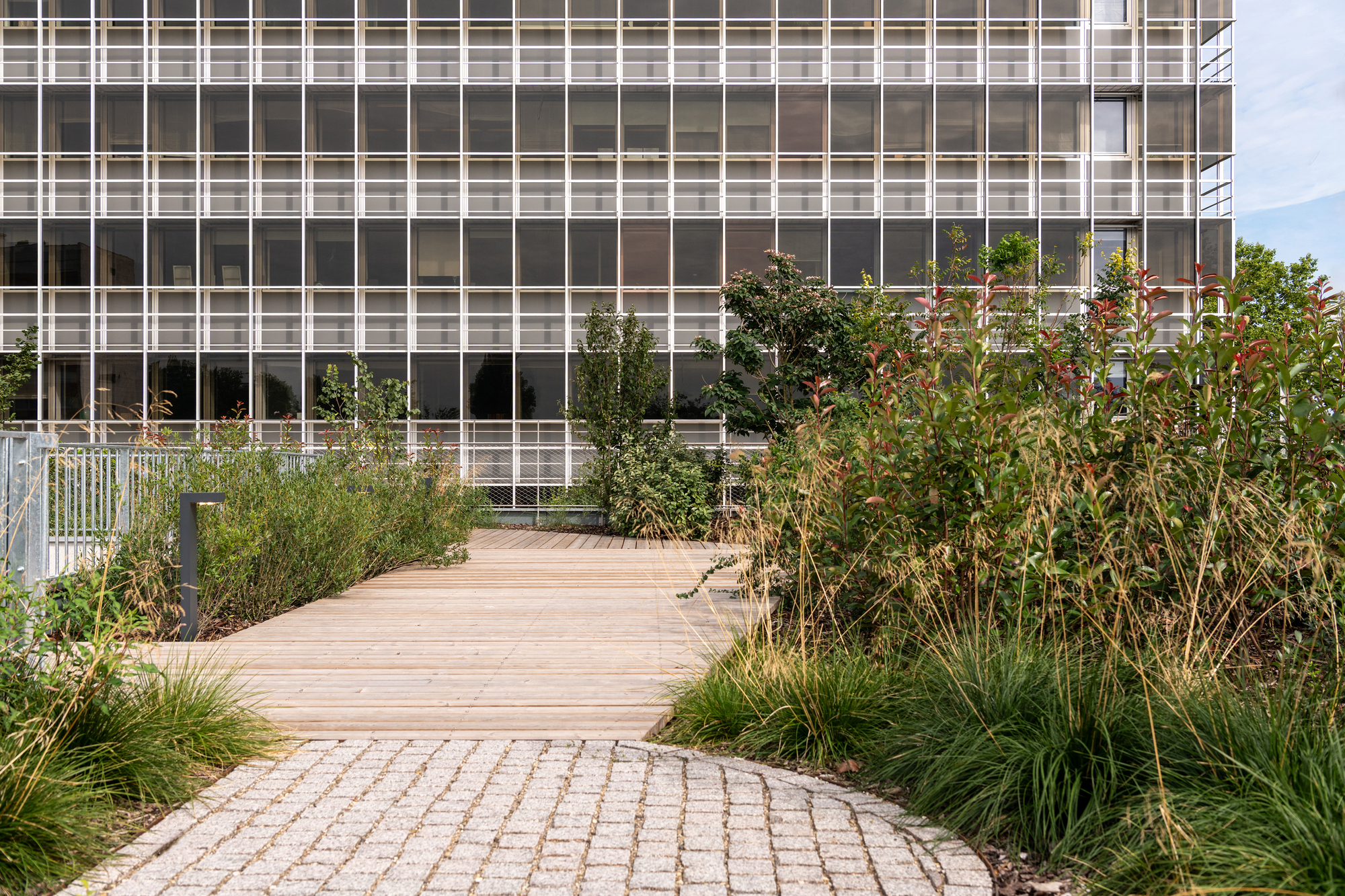 Curving granite sett path meeting a timber boardwalk through tall grasses and shrubs, with a glazed office tower behind in daylight