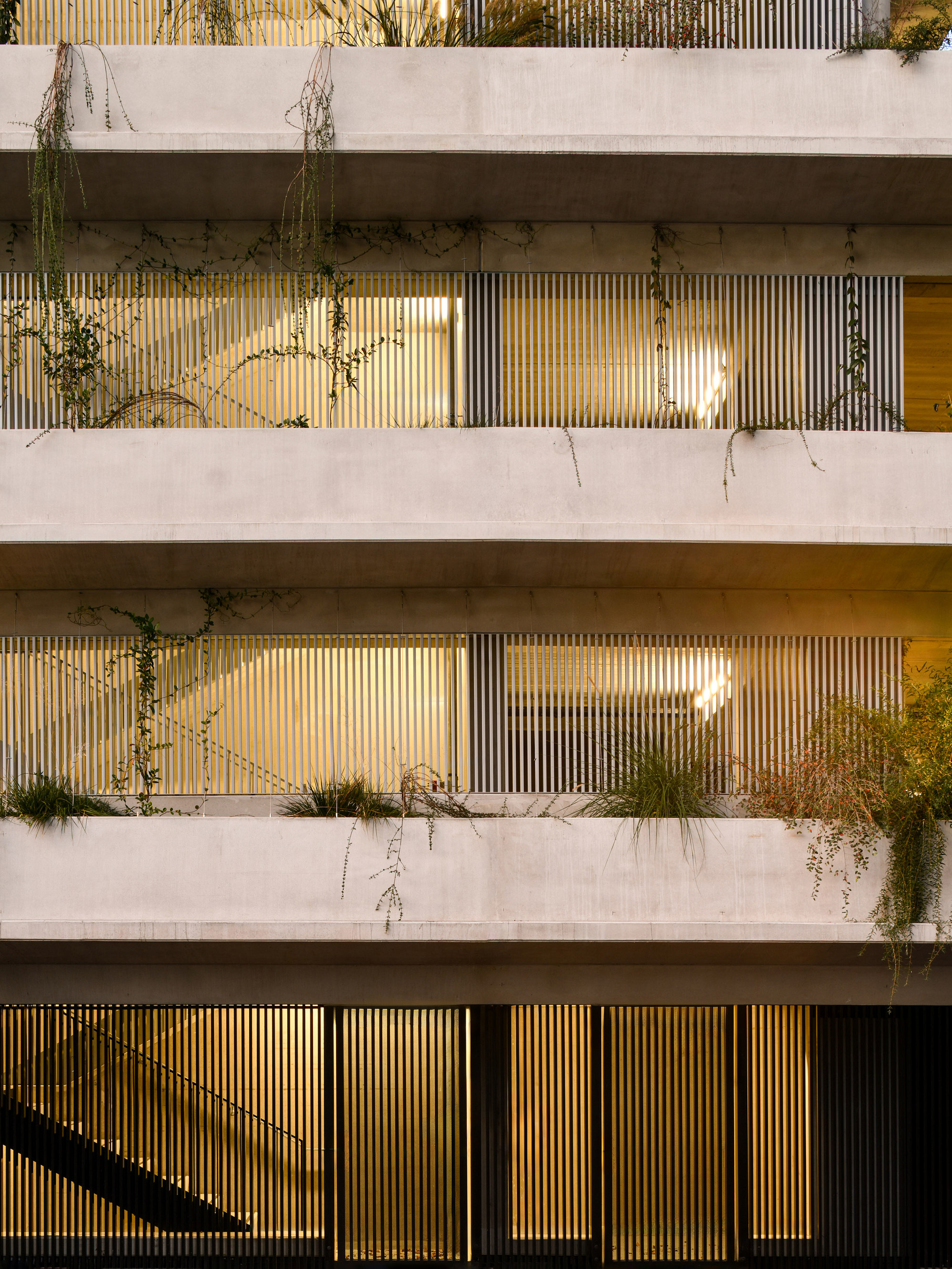 Detail of concrete slab edges, vertical timber slats and trailing plants, with evening light glowing through a stair behind the screen