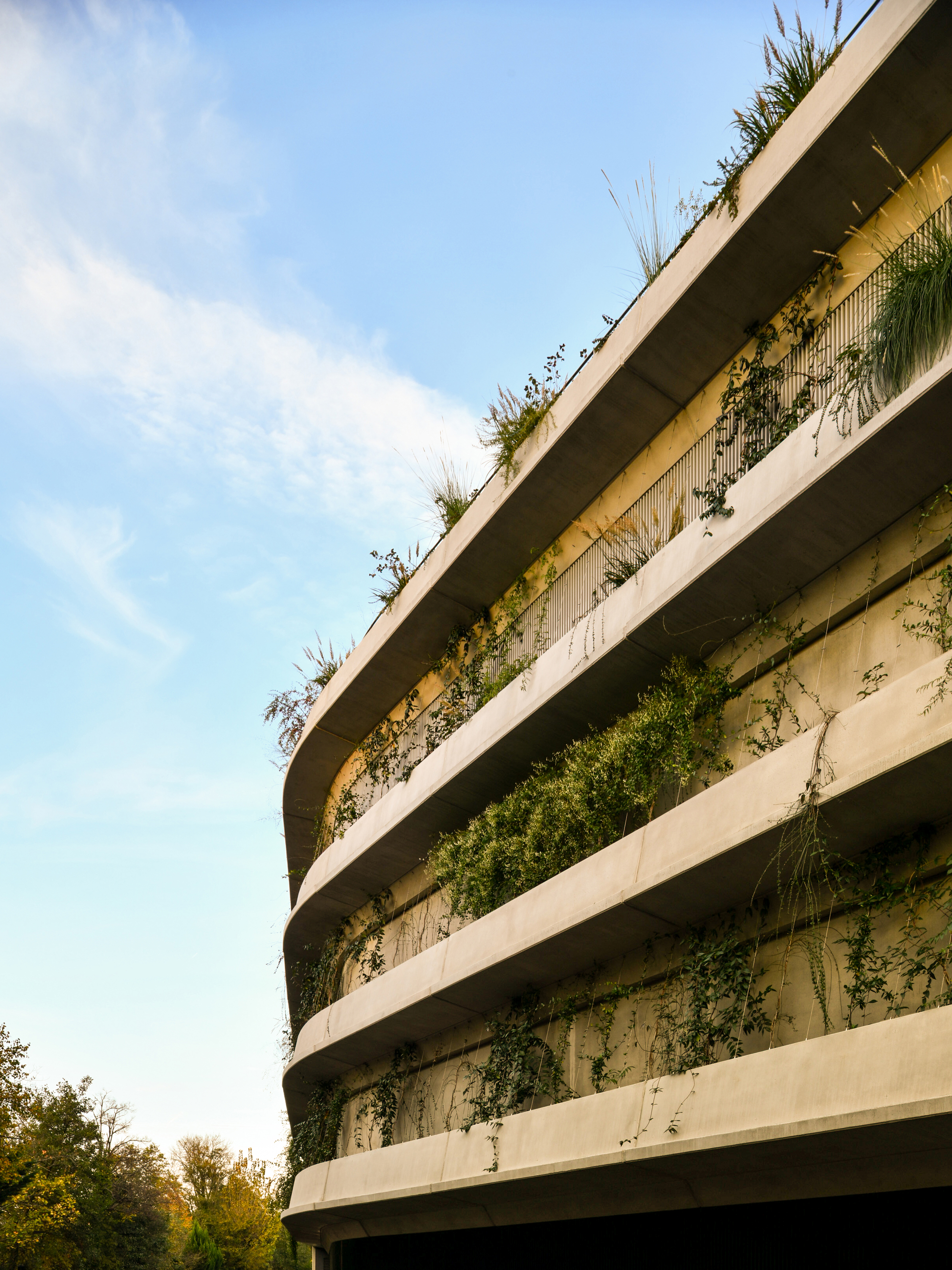Upward view of stacked curved concrete slab edges trailing vines and grasses against a pale blue sky with thin cloud