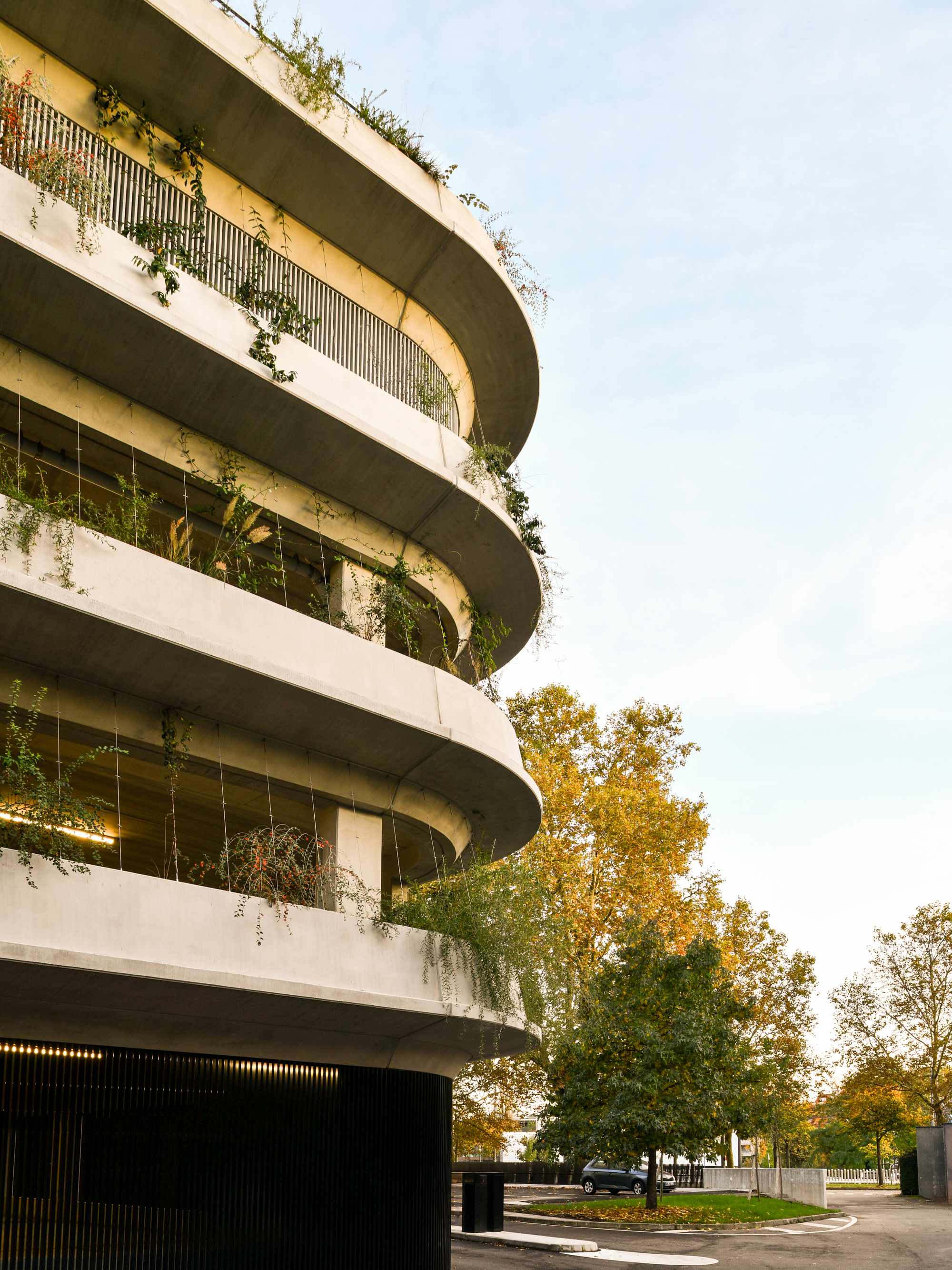 Rounded concrete floor plates with hanging plants and slim columns, beside yellow autumn trees at the street corner