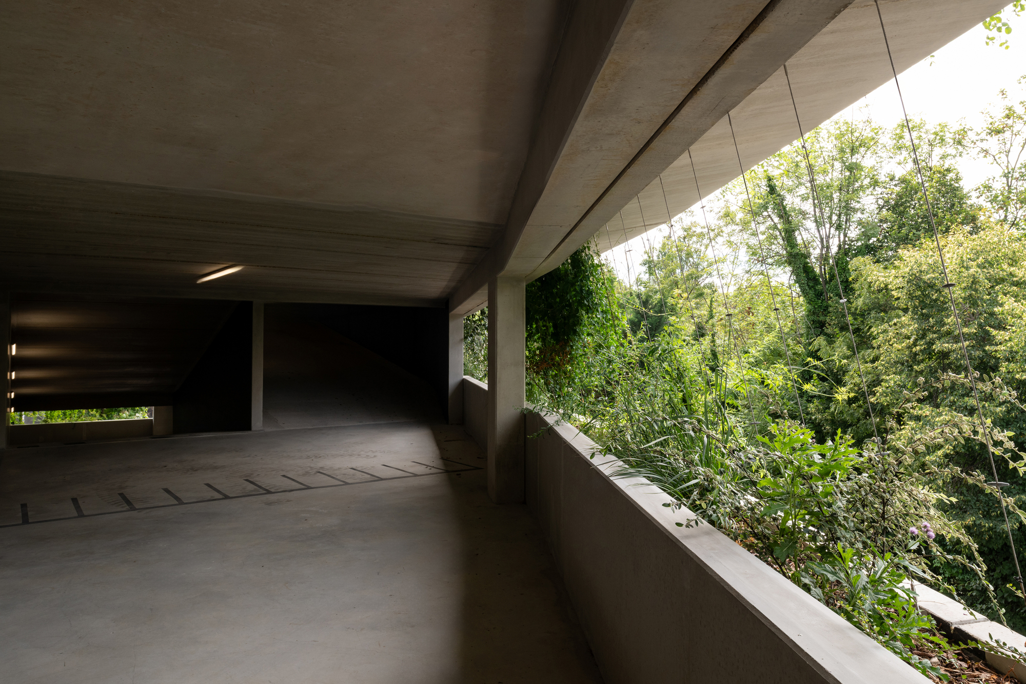 Open concrete parking deck edged by a low parapet, with cables, vines and treetops spilling in from the right in summer light