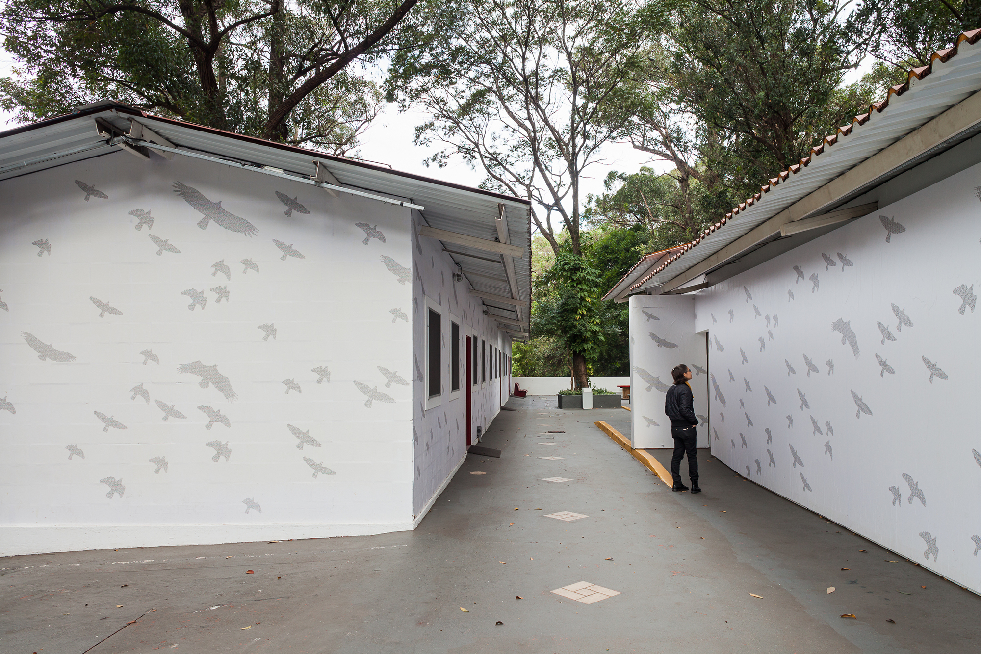 Narrow paved passage between two white walls covered in bird silhouettes, with a visitor looking up beneath tall trees