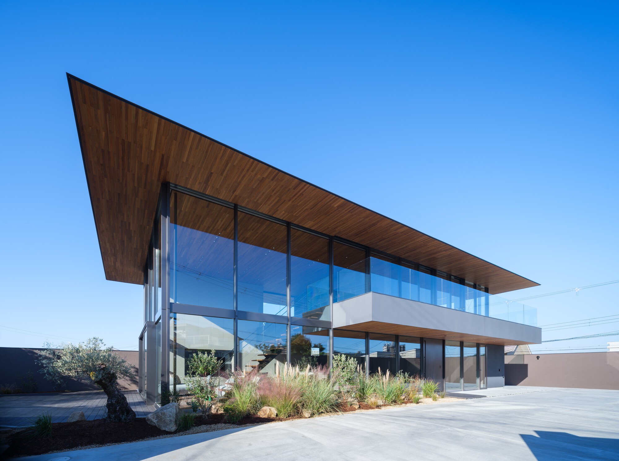 Two-storey glass facade under a wide sloping timber-lined roof, with olive tree and grasses in the foreground against a clear blue sky