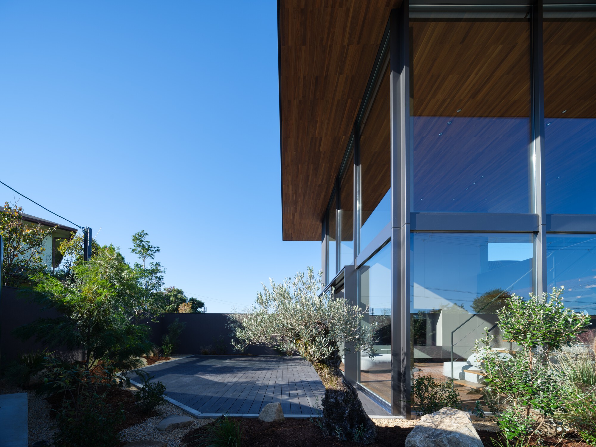 Corner of the glazed volume beneath the timber soffit, with a gravel garden, olive tree and deck in clear afternoon light
